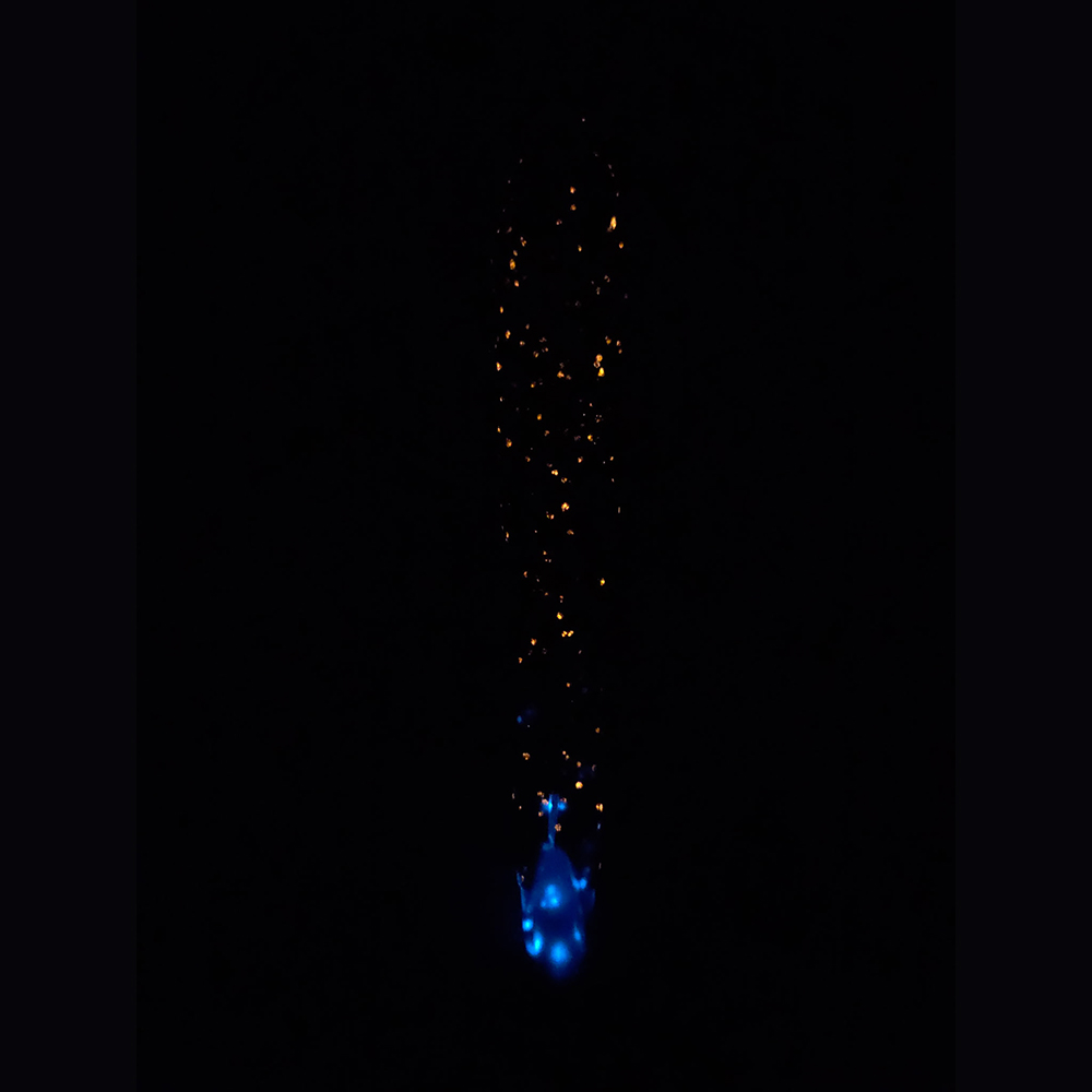 Stoopid Bolt - Fine Print