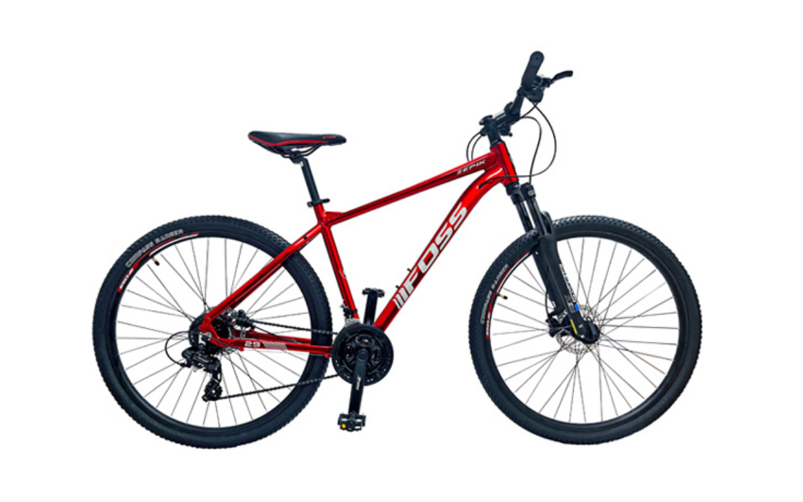 Bicicleta FOSS Zepik 29