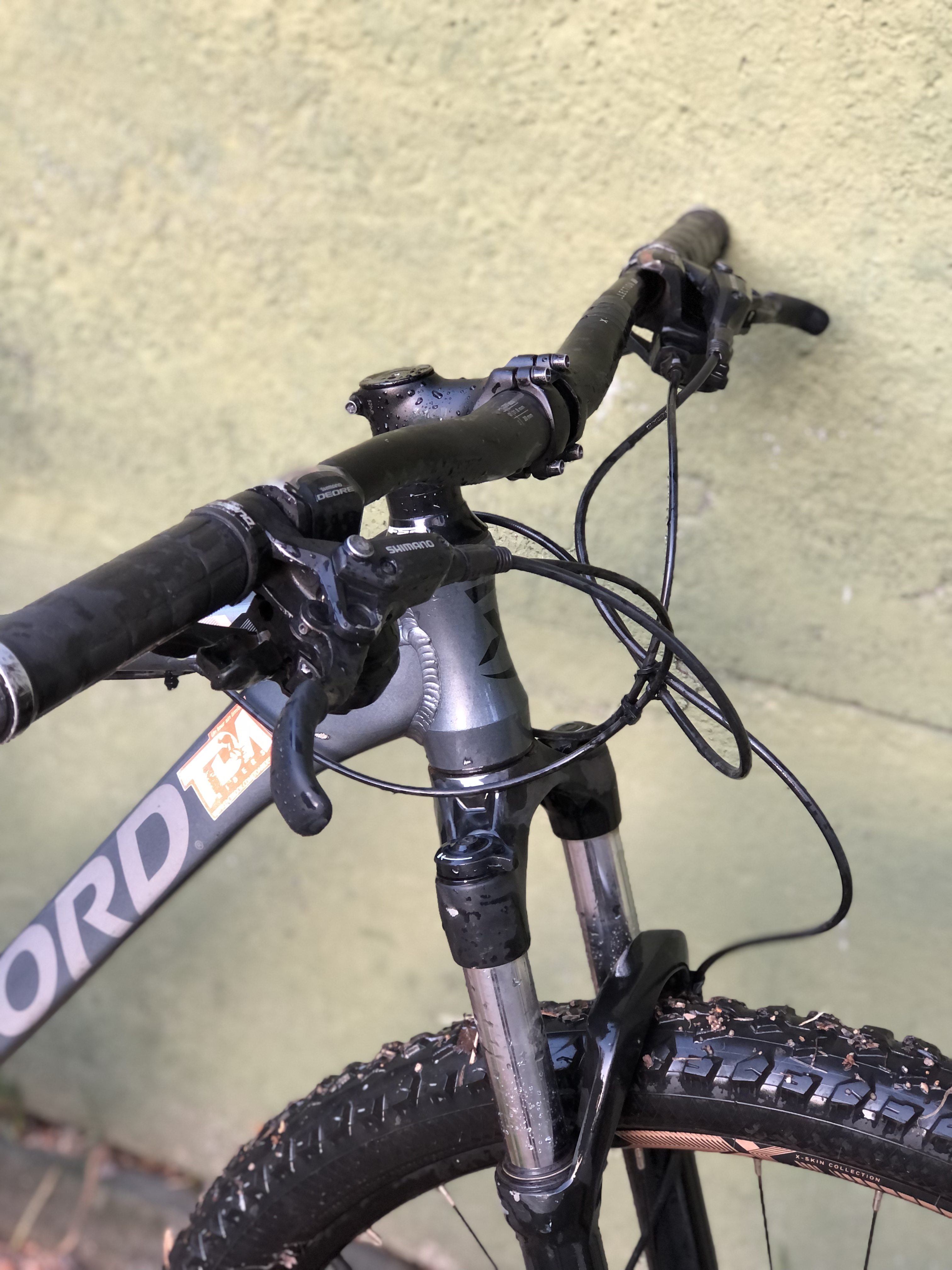 Oxford polux 3 // M aro 29