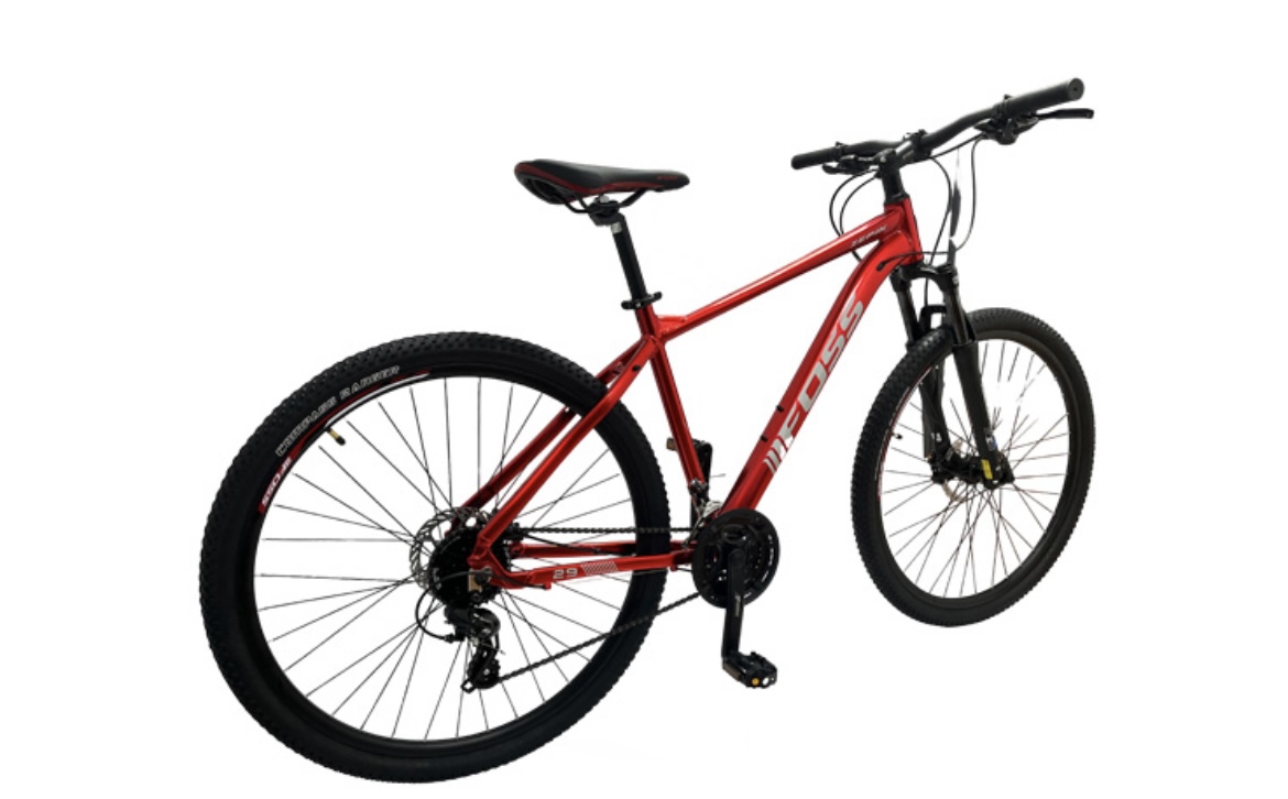 Bicicleta FOSS Zepik 29