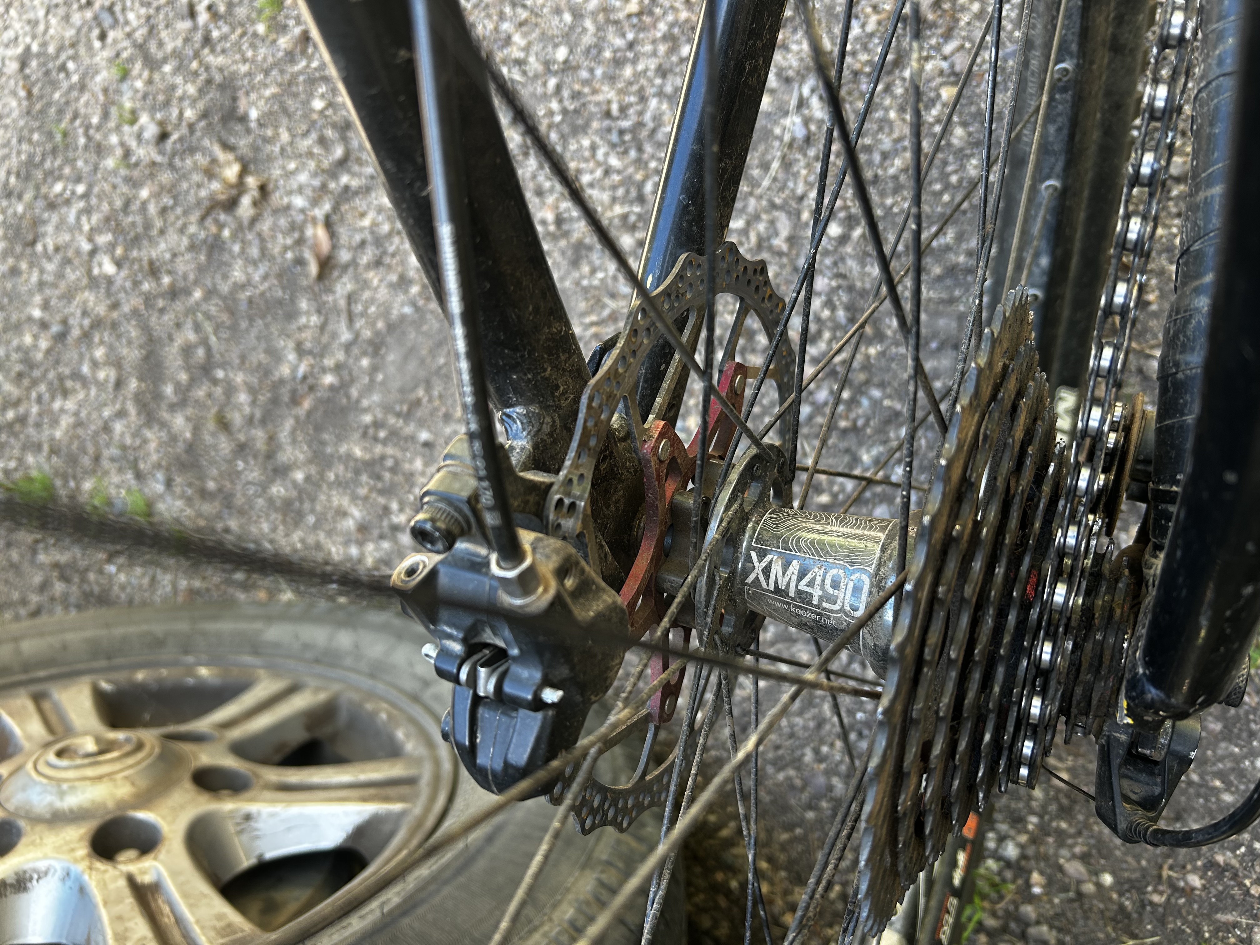 Dartmoor Primal HT M 27.5