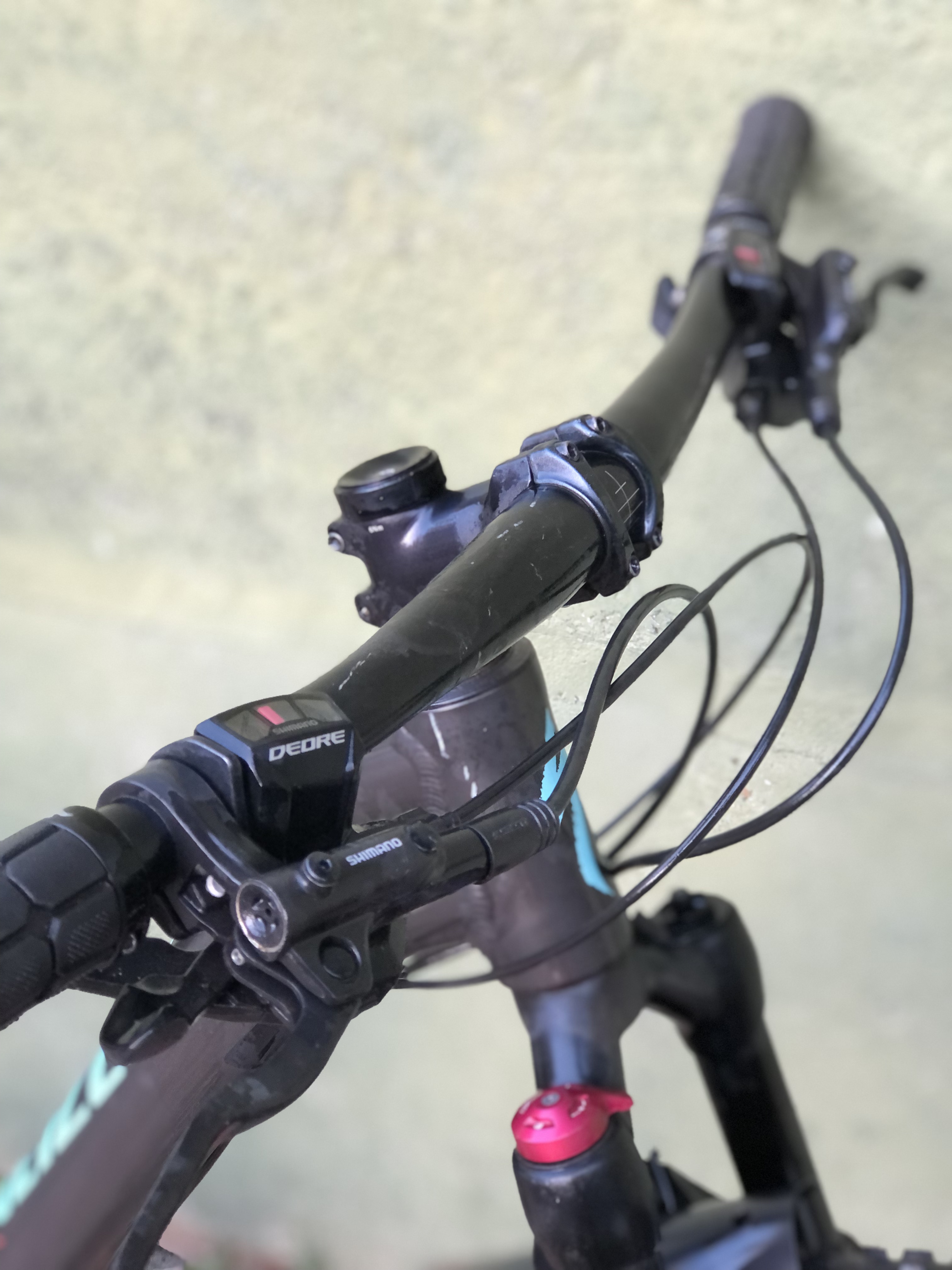 Specialized rockhopper // S aro 29 