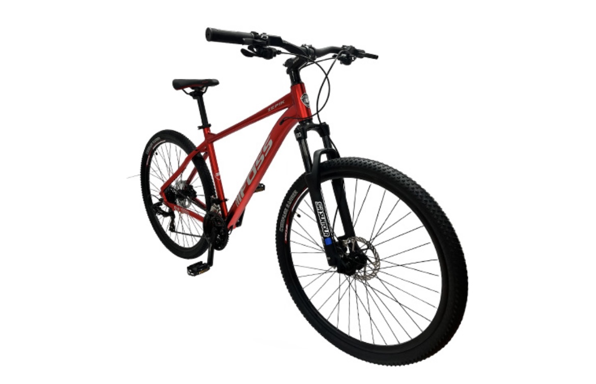 Bicicleta FOSS Zepik 29