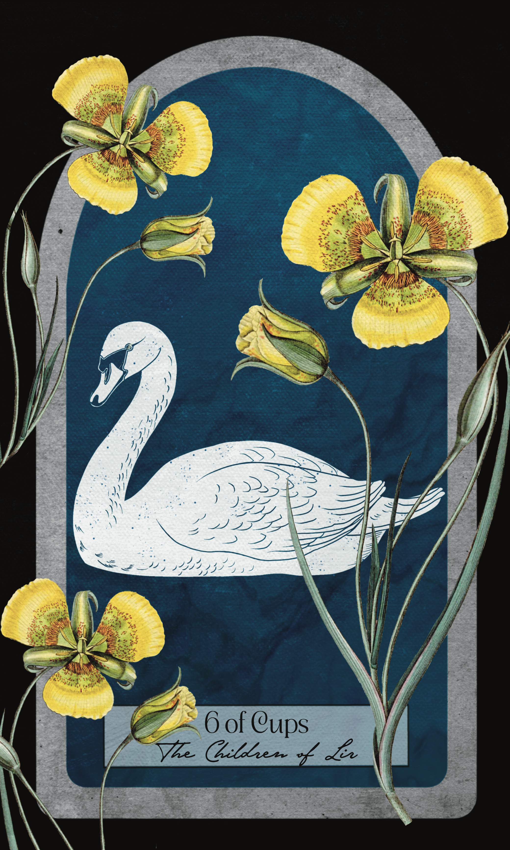 The Myth Weaver Tarot- Deluxe Version