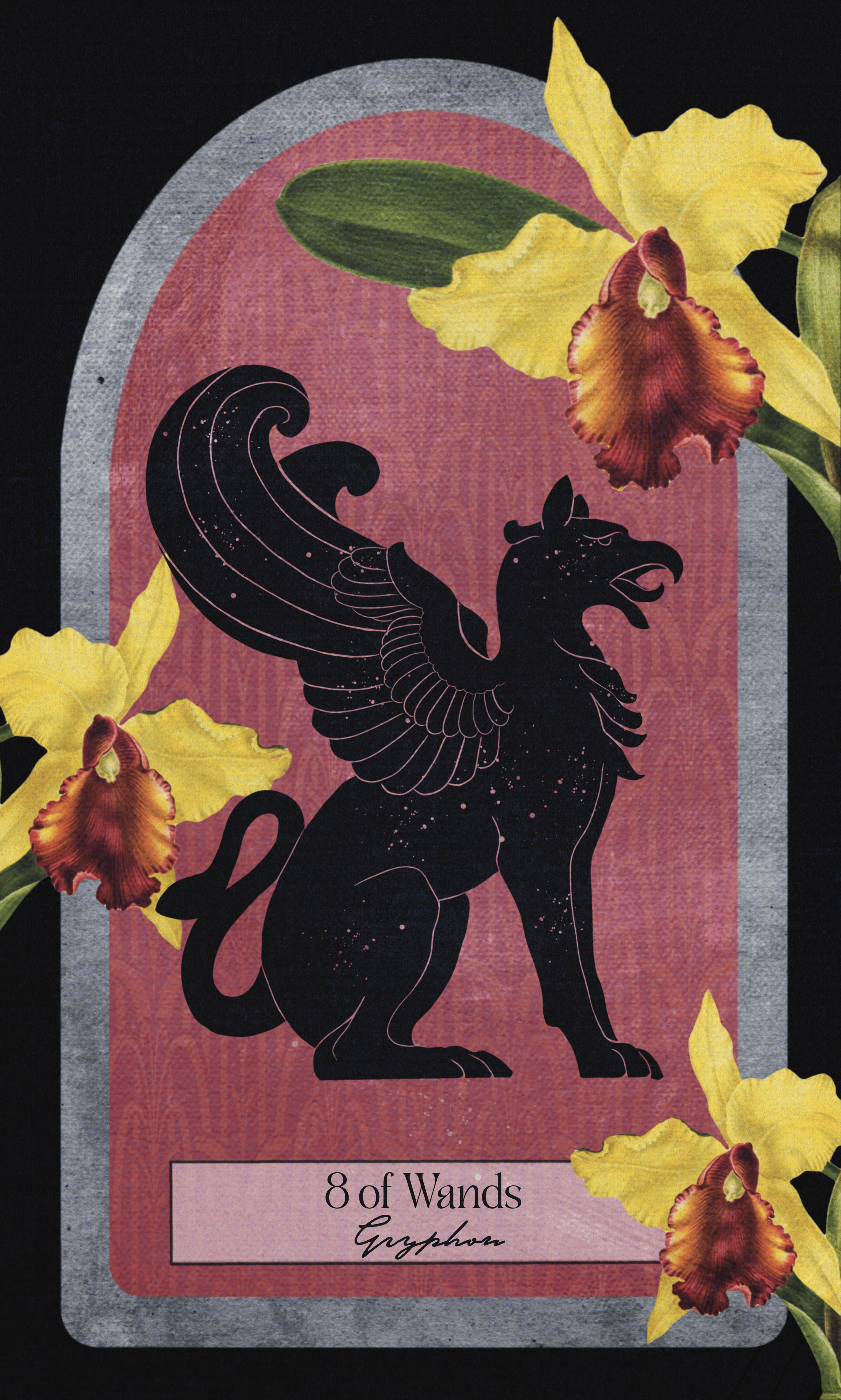 The Myth Weaver Tarot- Deluxe Version