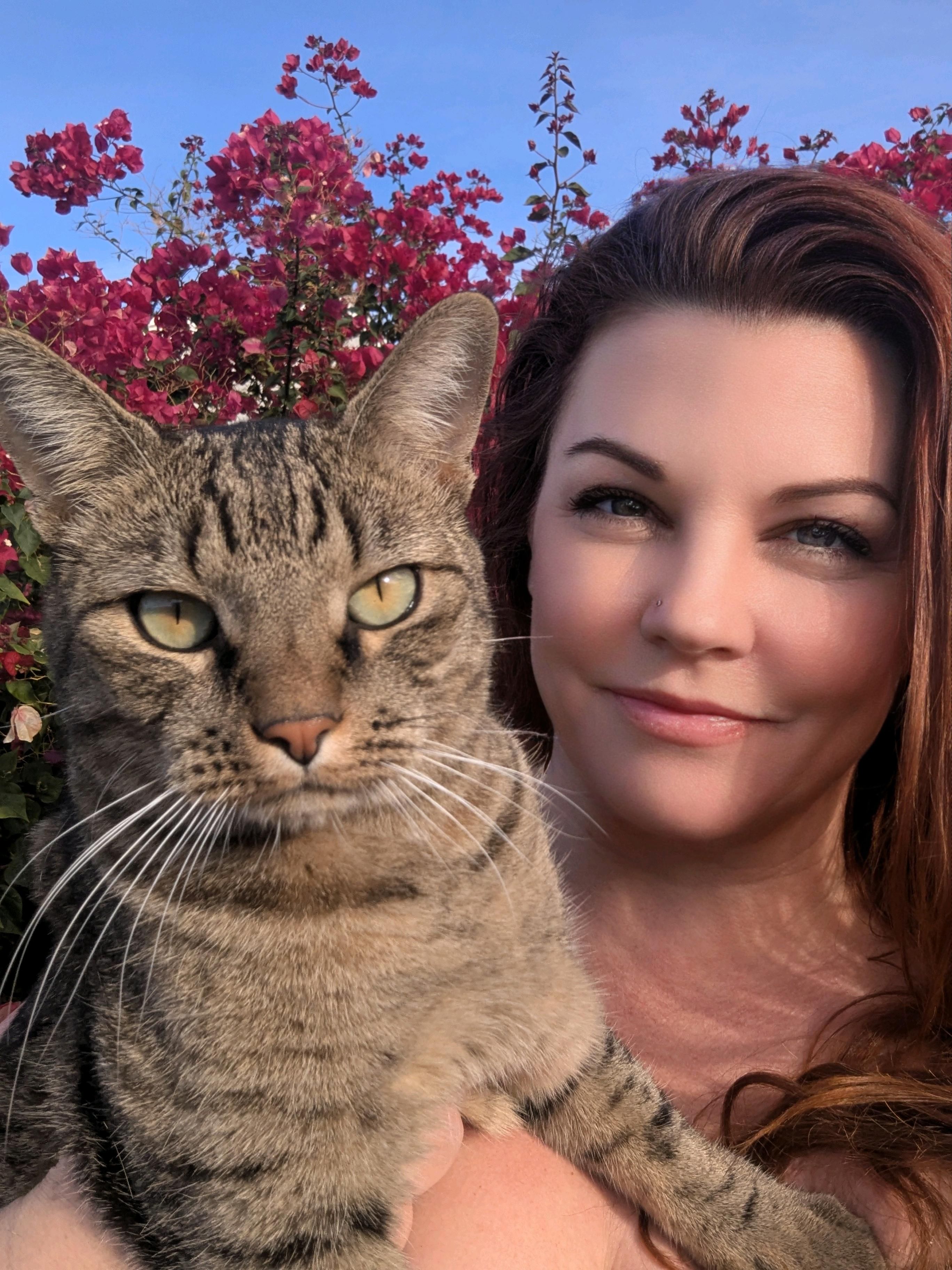 Animal Energy Healing