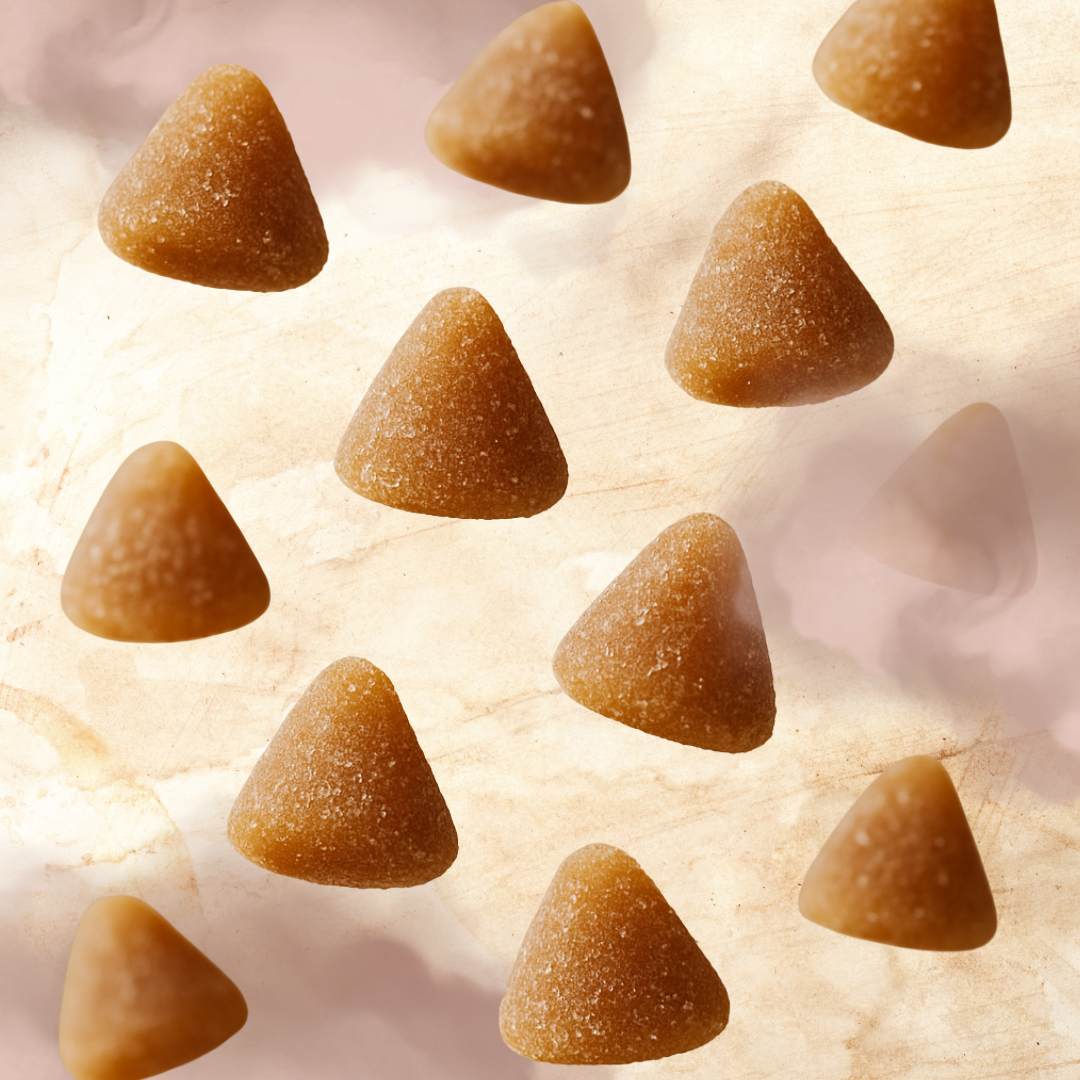 Gomitas Artesanales de Café – Snack Suave con Café Real de Oaxaca