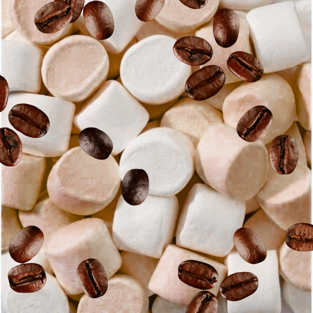 Bombones de Café – Malvaviscos Artesanales con Sabor Capuccino