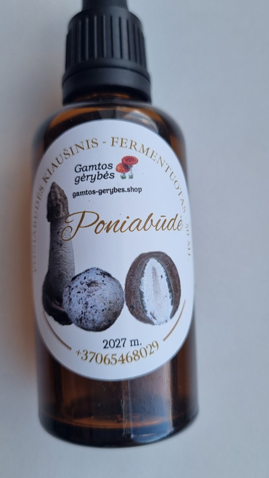 Fermentuota poniabudė