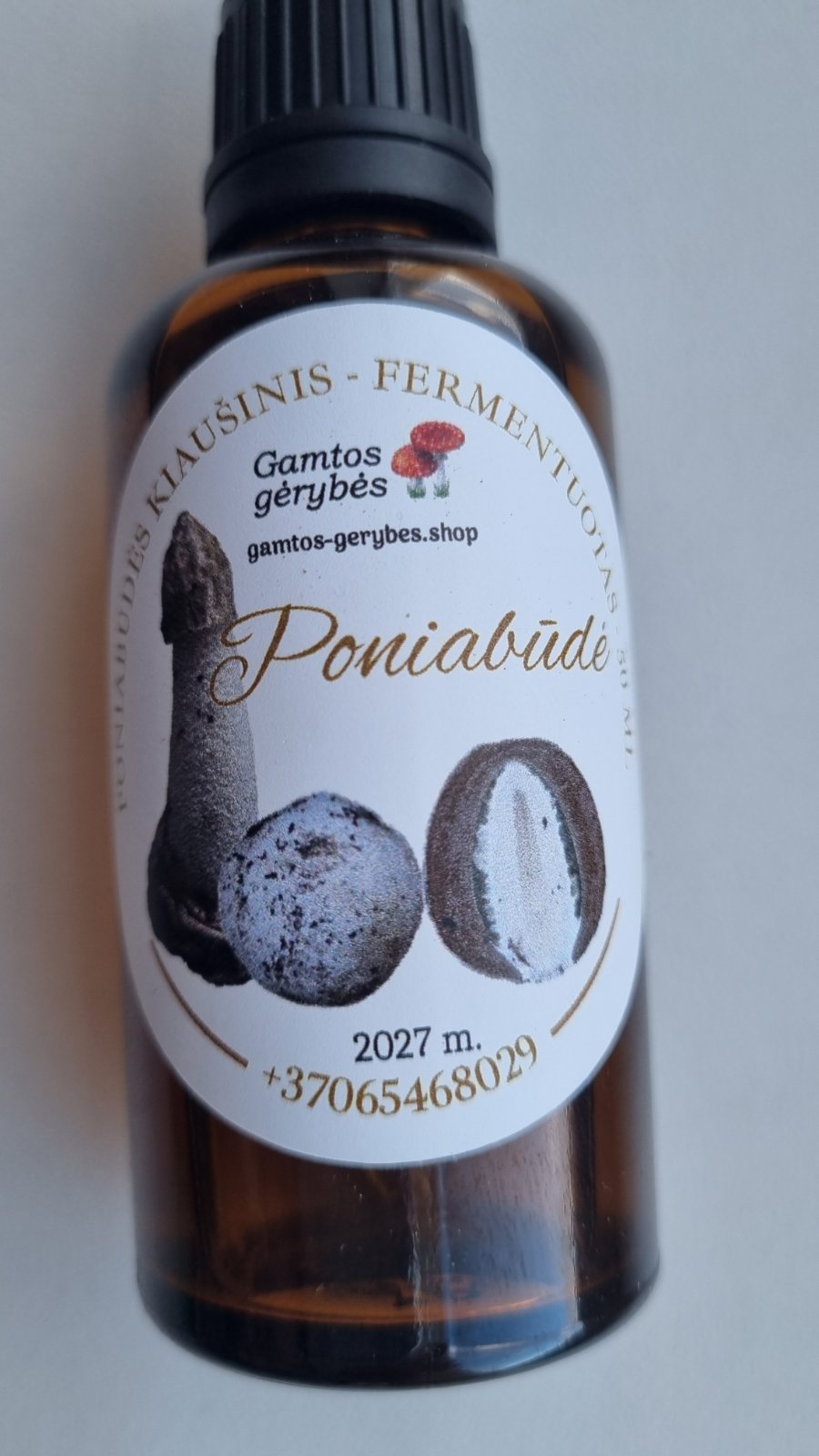 Fermentuota poniabudė