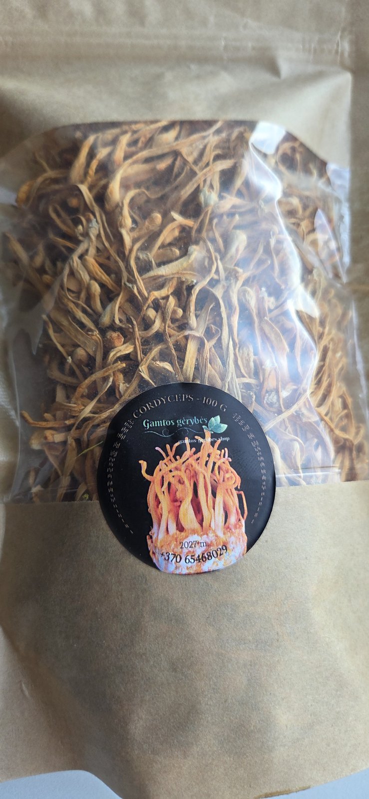 Cordyceps militaris