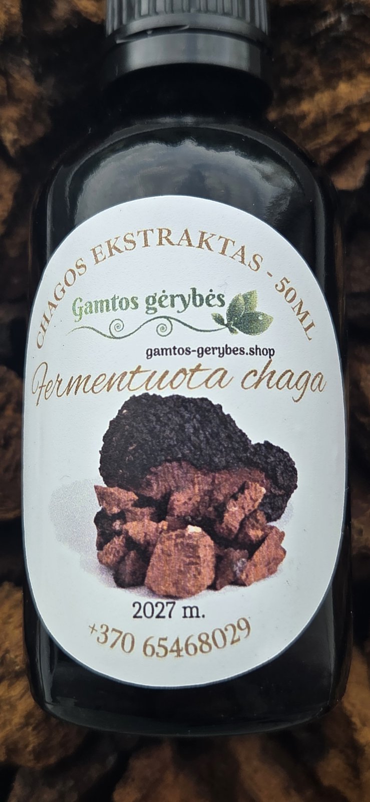 Fermentuota Chaga
