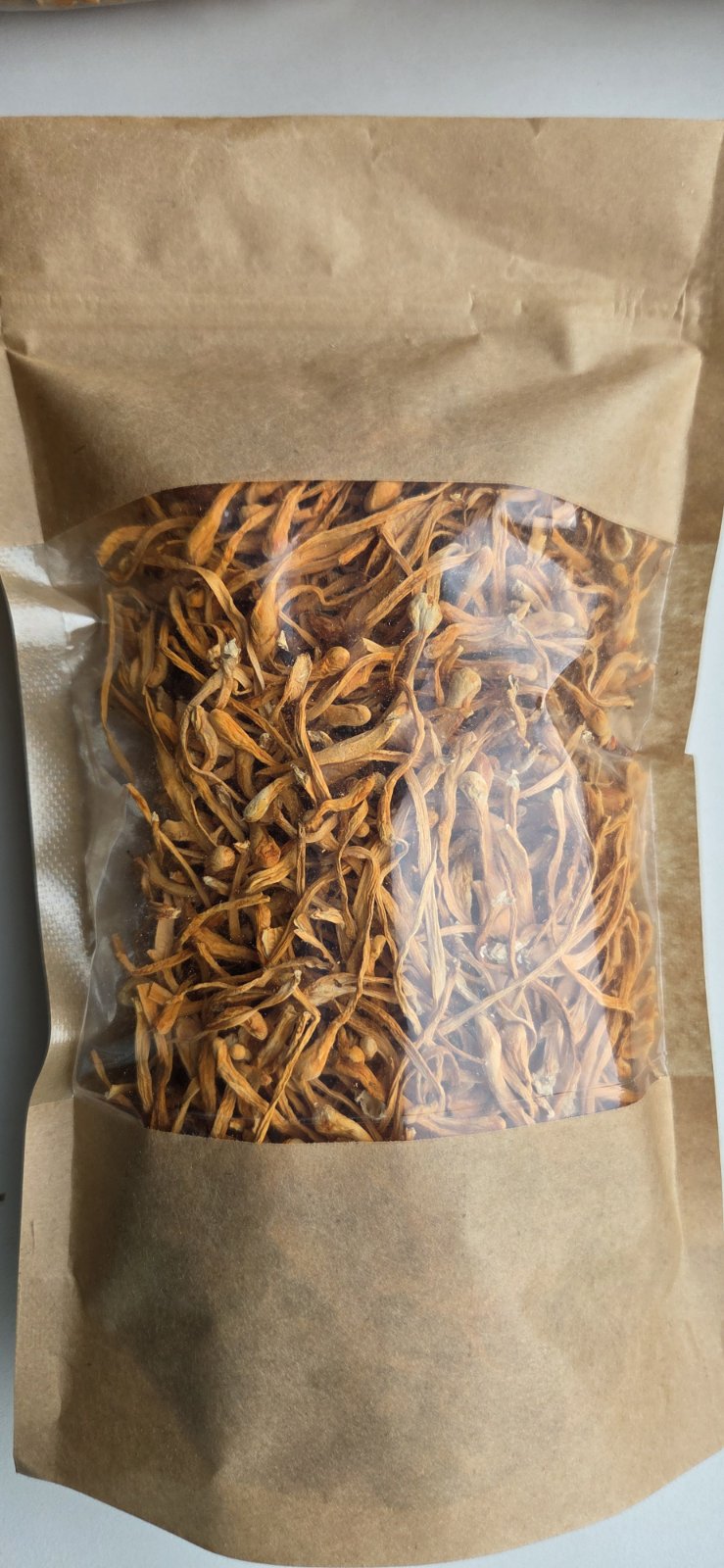 Cordyceps militaris
