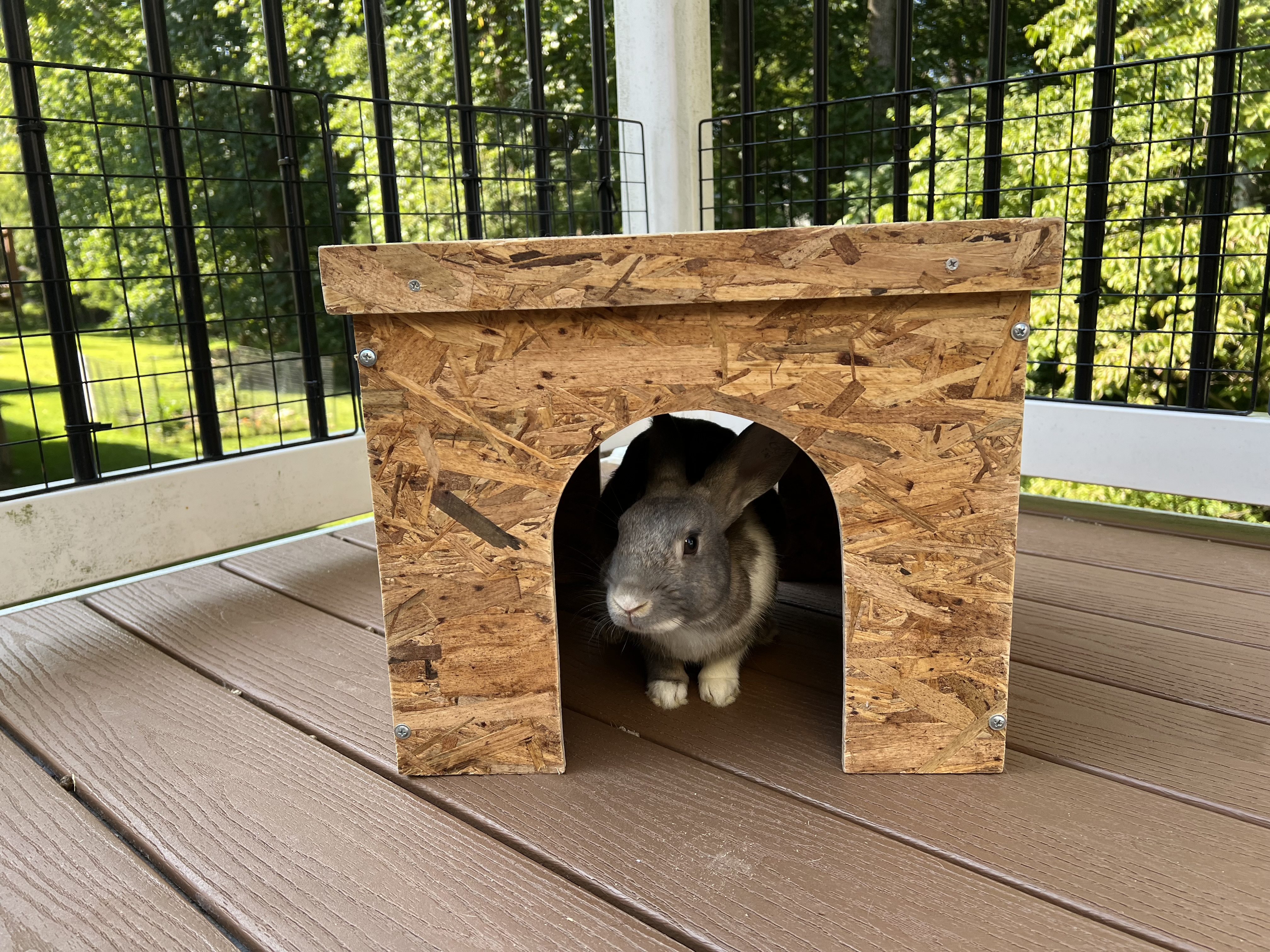 "The Deluxe" 1-story bunny condo