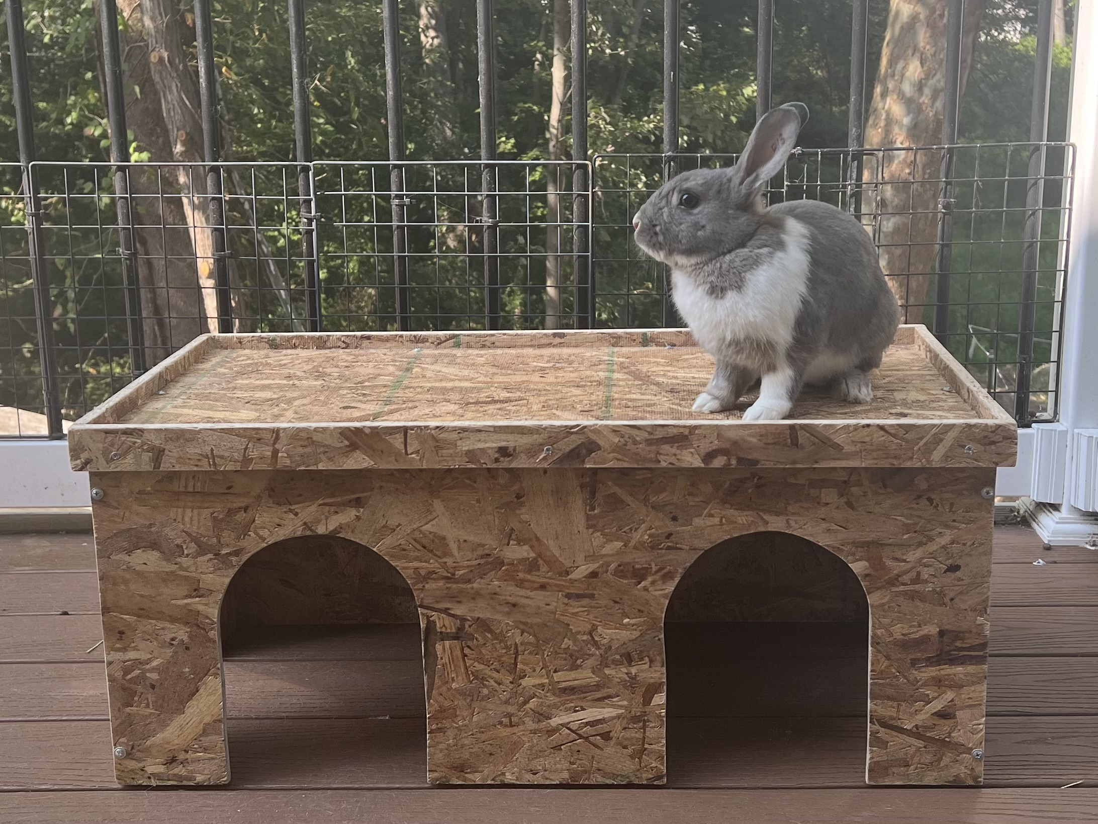 "The Rancher" 1-story extended bunny condo
