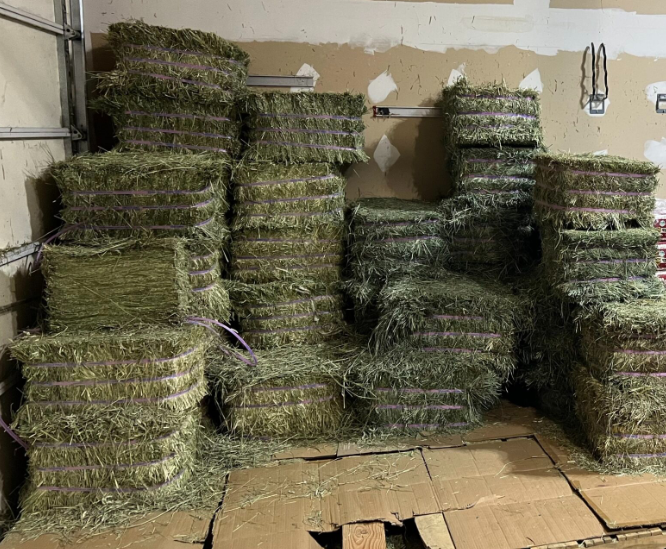 Timothy Hay Compressed Bale