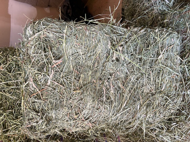 Timothy Hay, sold by the pound