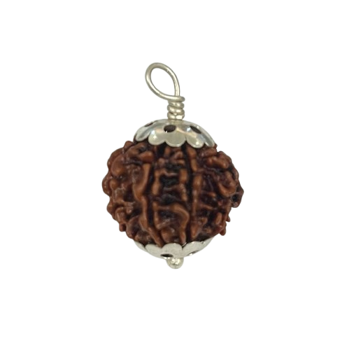 8 मुखी रुद्राक्ष – 8 Mukhi Rudraksha 