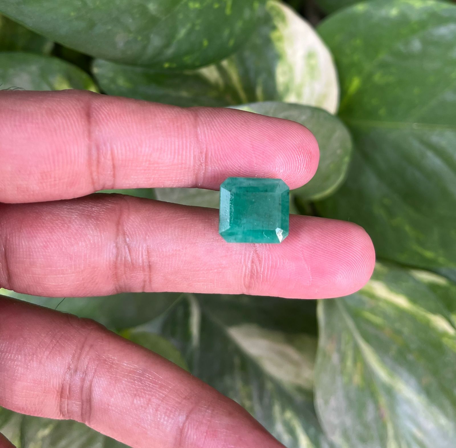 Emerald-पन्ना 