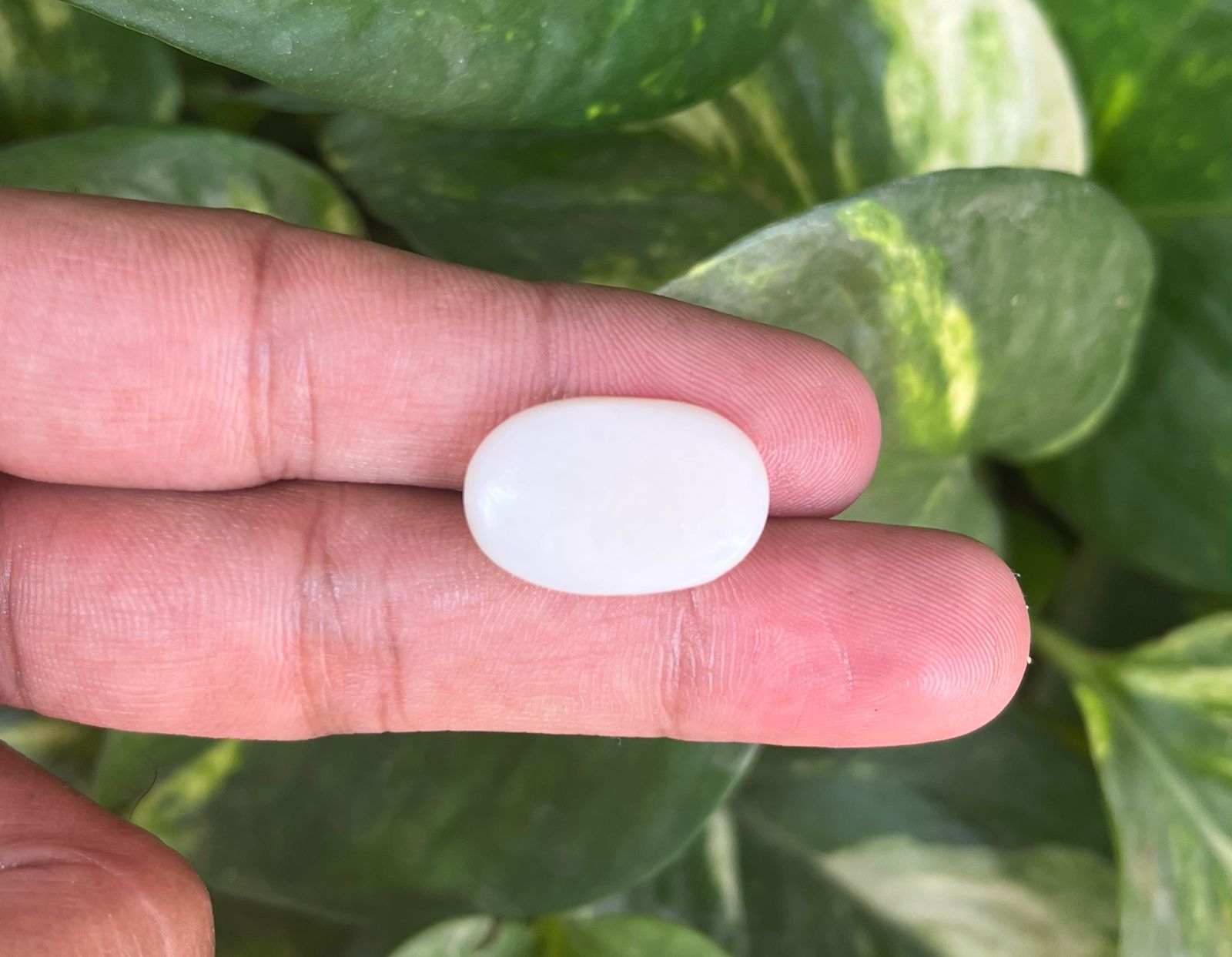 Opal Gemstone (ओपल रत्न )