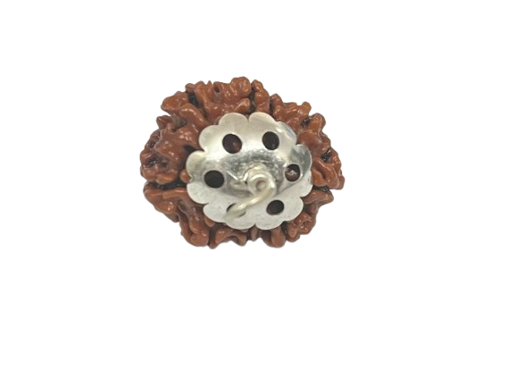 9 मुखी रुद्राक्ष – 9 Mukhi Rudraksha 