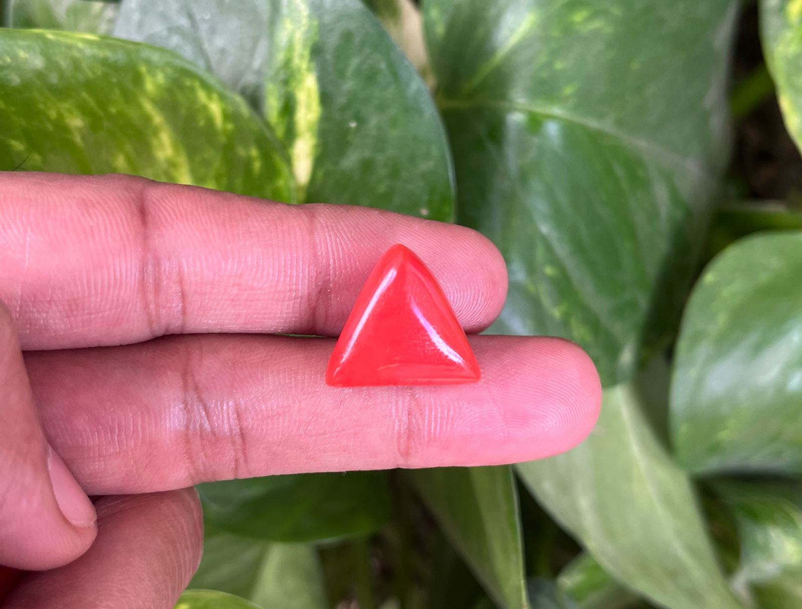 Triangle Coral Italian (मंगल देव रत्न)