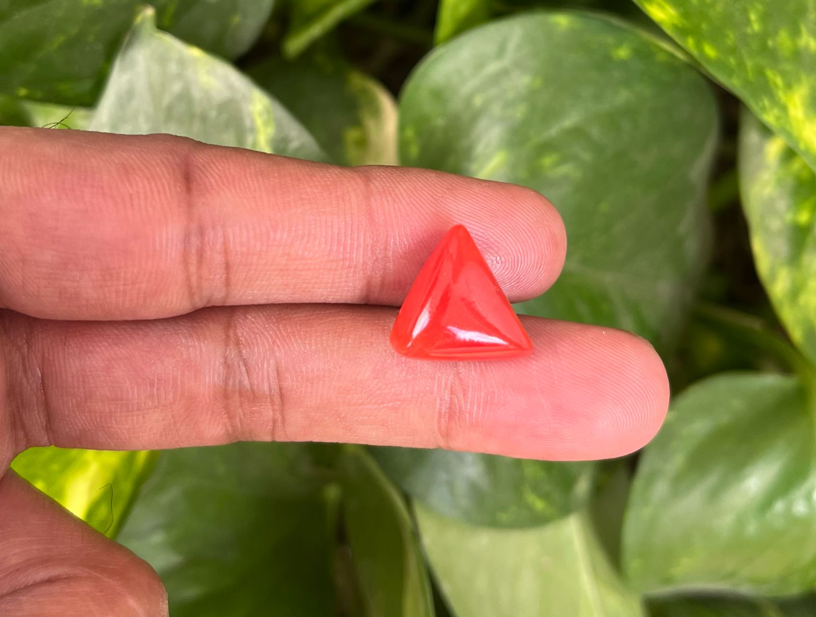 Triangle Coral Italian (मंगल देव रत्न)
