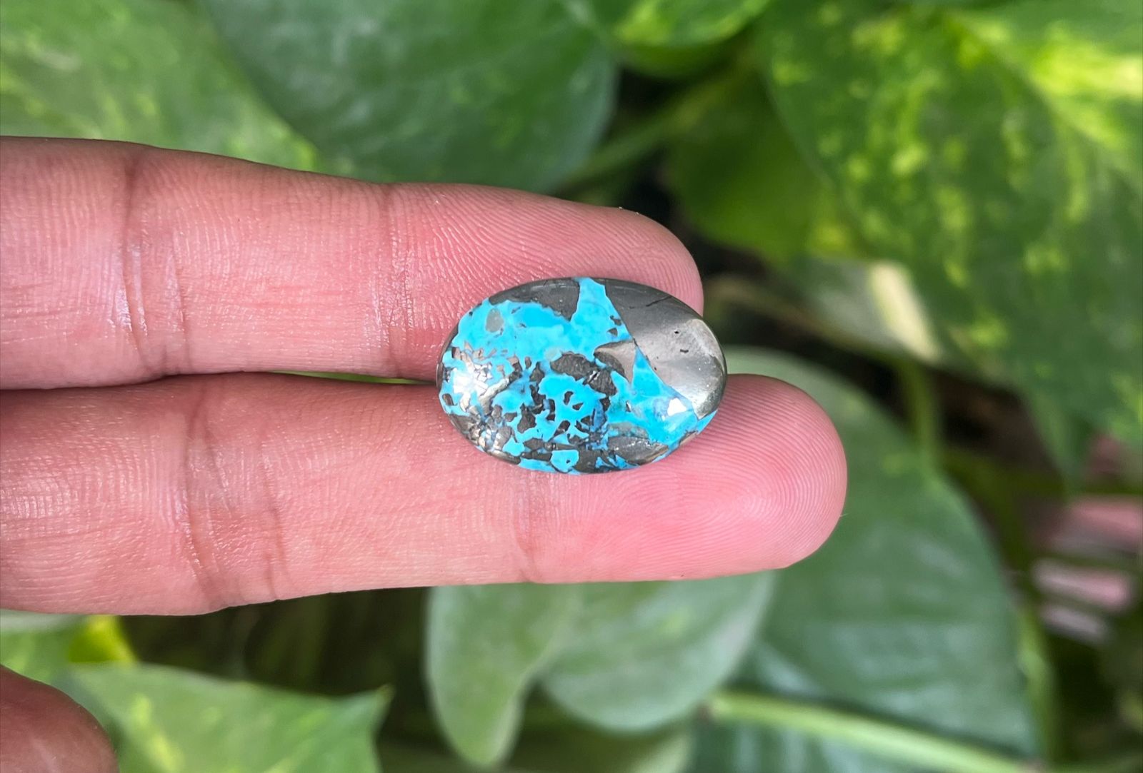 Firoza फ़िरोज़ा