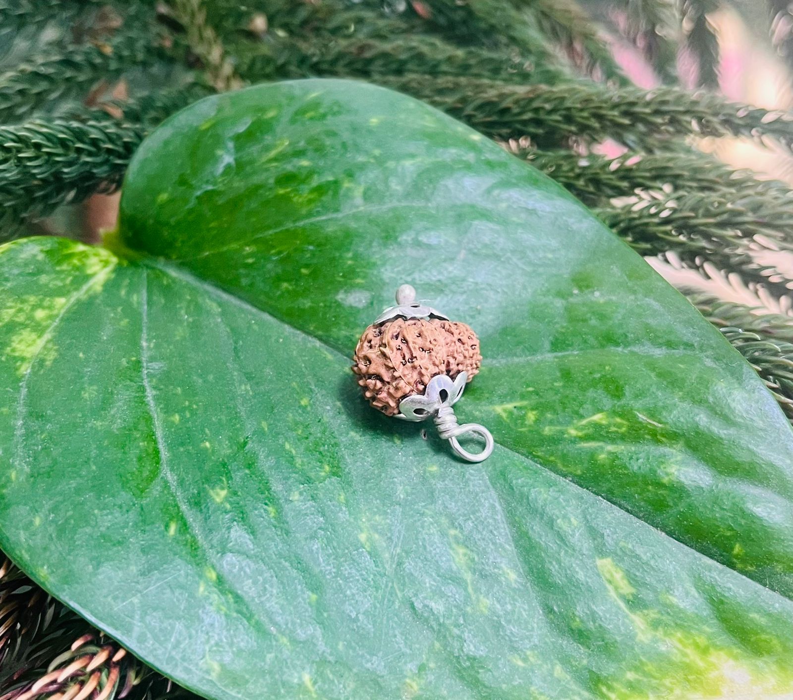 15 मुखी रुद्राक्ष पेंडेंट के साथ – 15 Mukhi Rudraksha