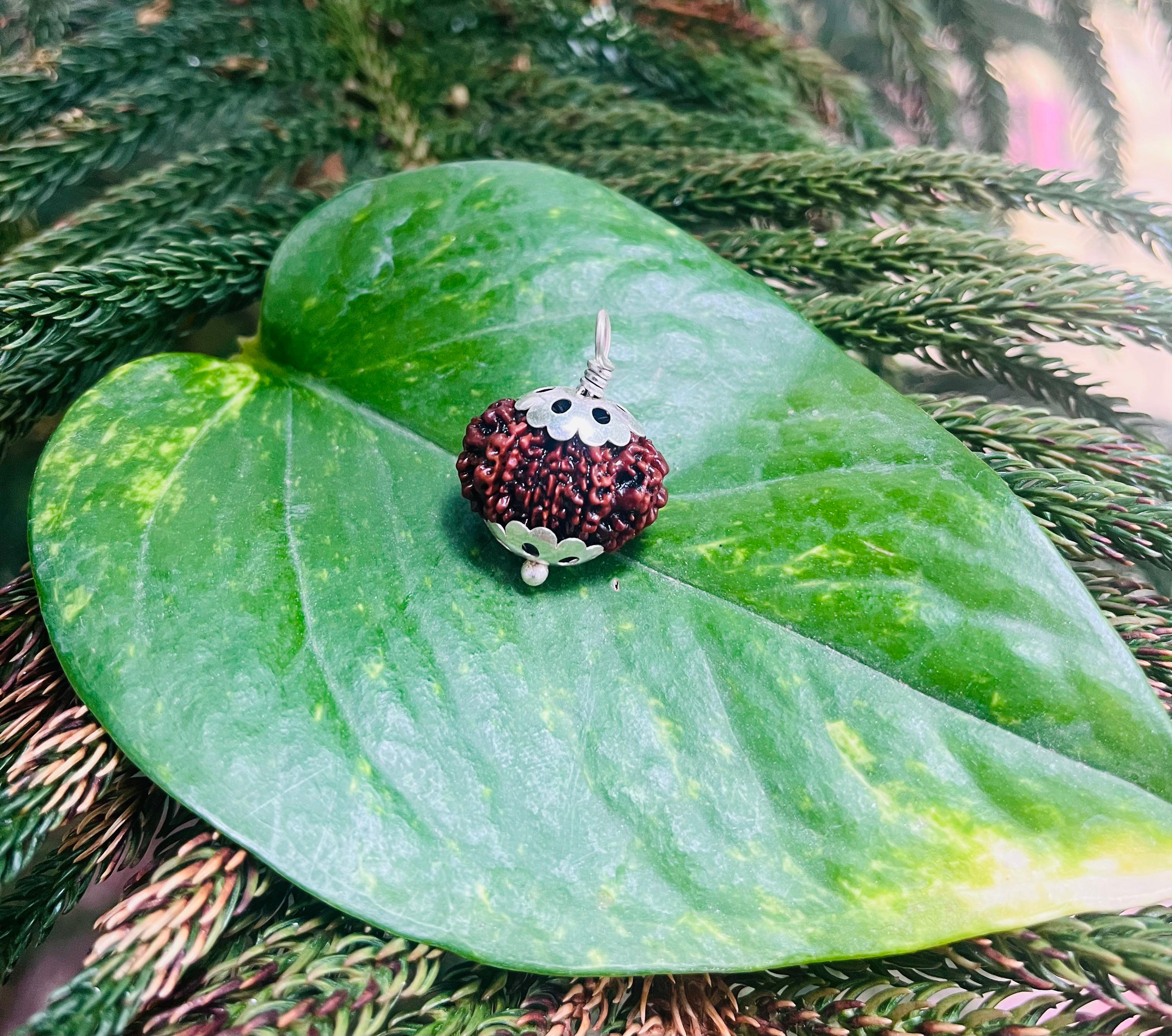 10 मुखी रुद्राक्ष पेंडेंट क साथ – 10 Mukhi Rudraksha