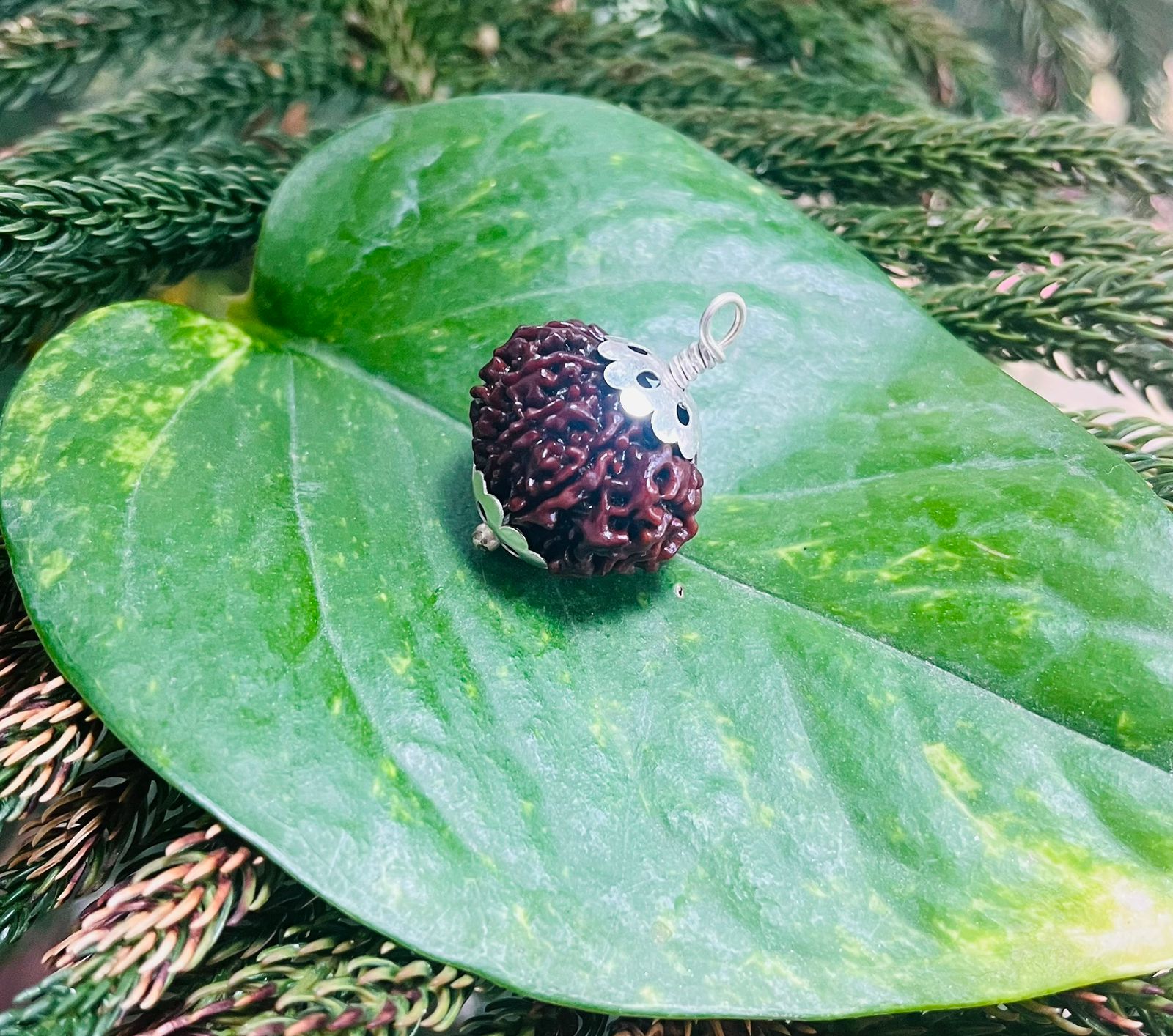 11 मुखी रुद्राक्ष पेंडेंट क साथ – 11 Mukhi Rudraksha