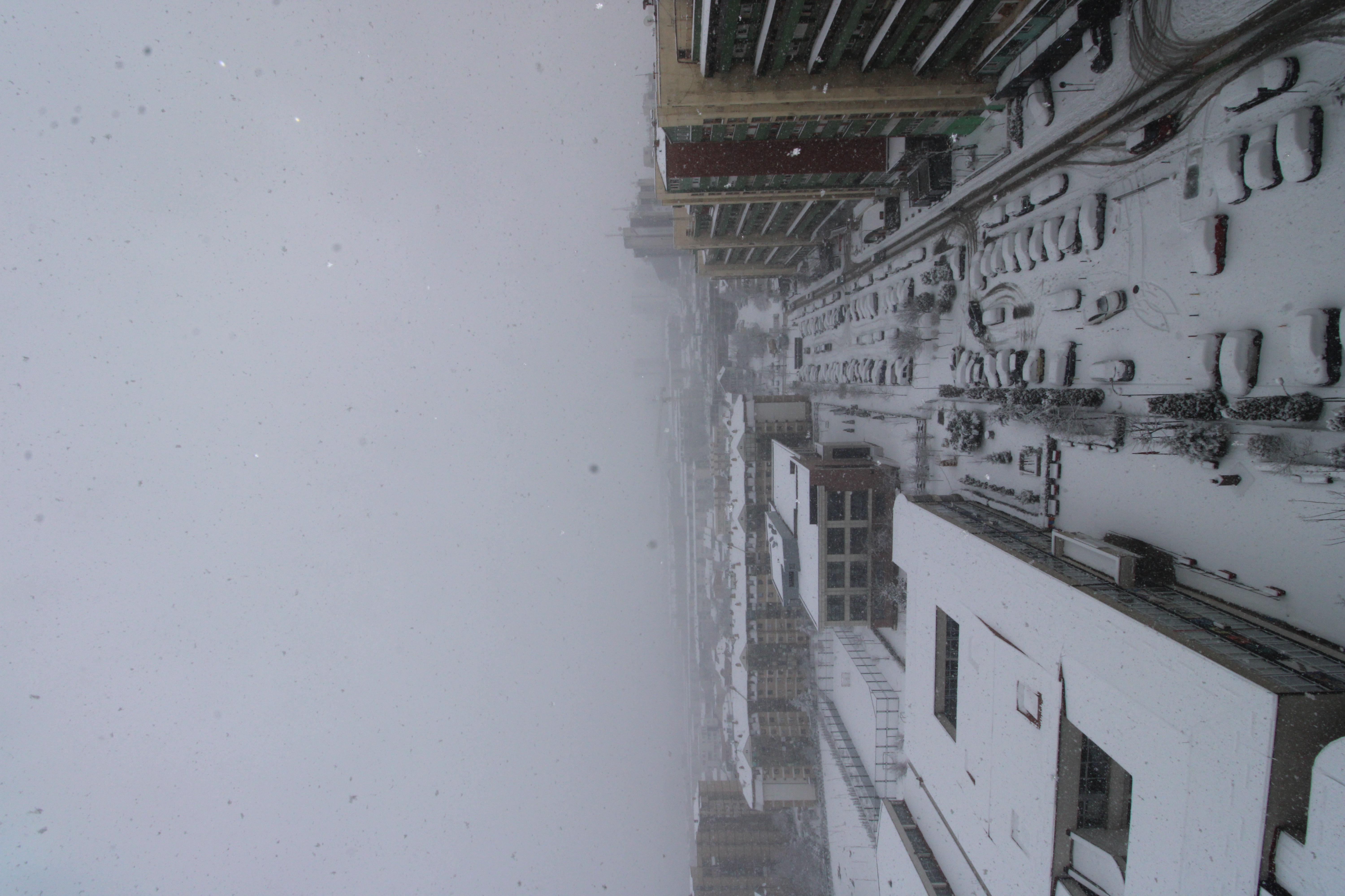 Shitet banesa në lagjën Dardani