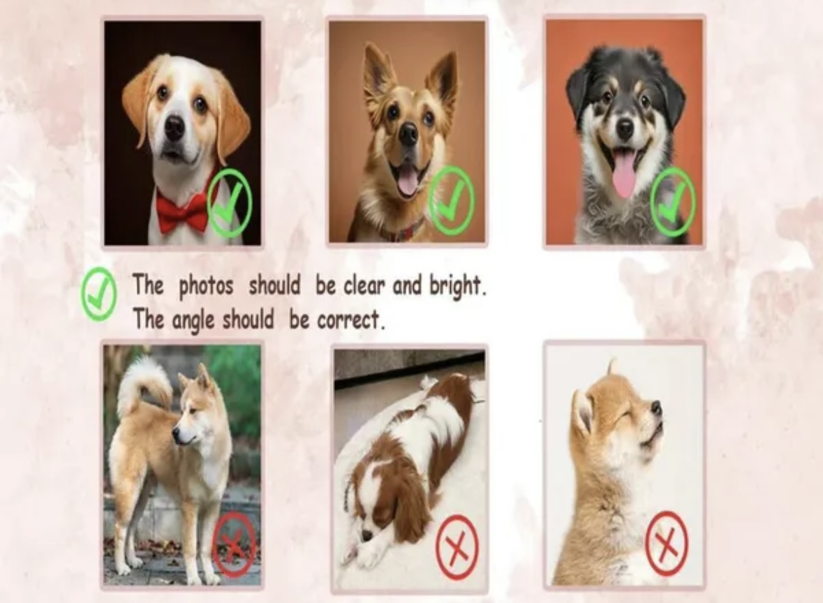 Felpa “Merry Woofmas” - Ricamo Personalizzabile