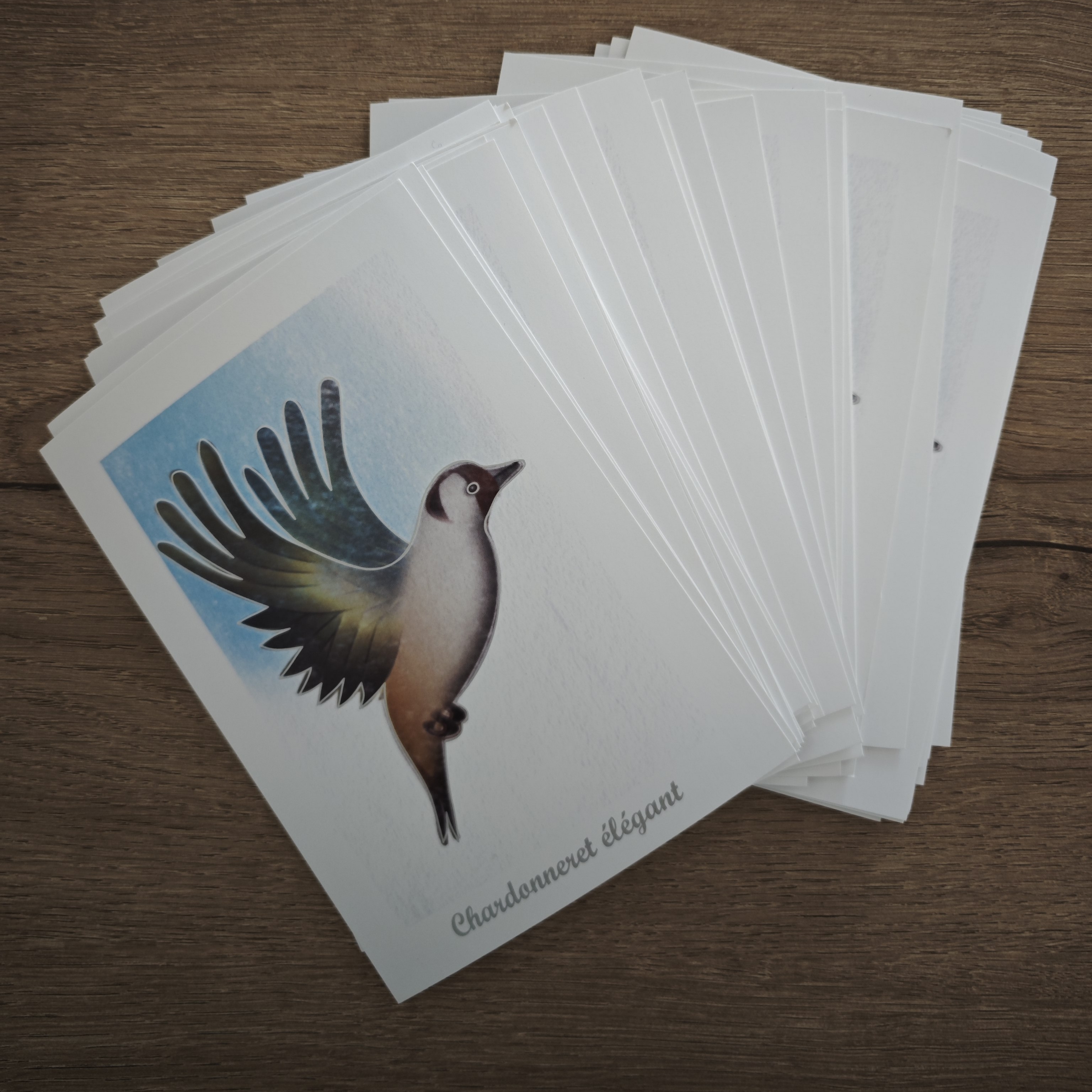 Carte postale "Oiseaux"