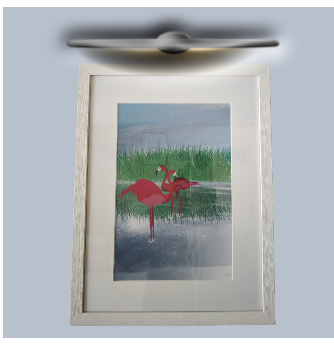 Aquarelle "Parade nuptiale"