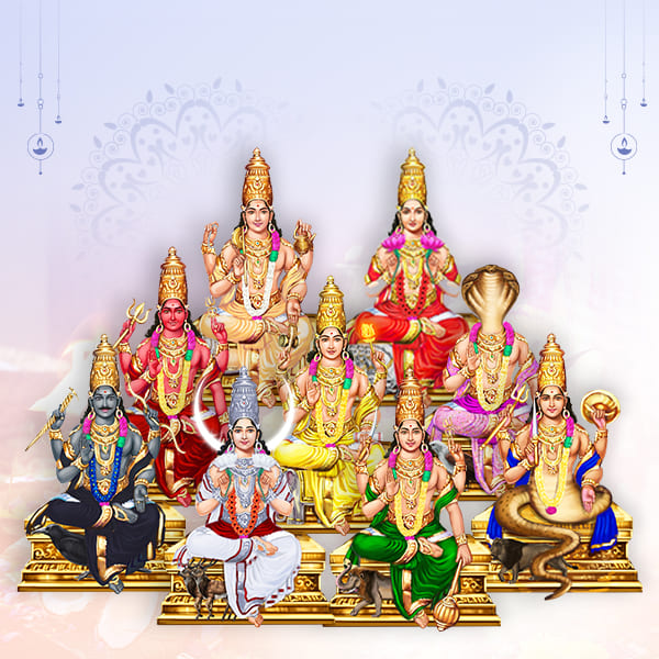 Navgrah Shanti Puja - at the Temple With Langar Seva