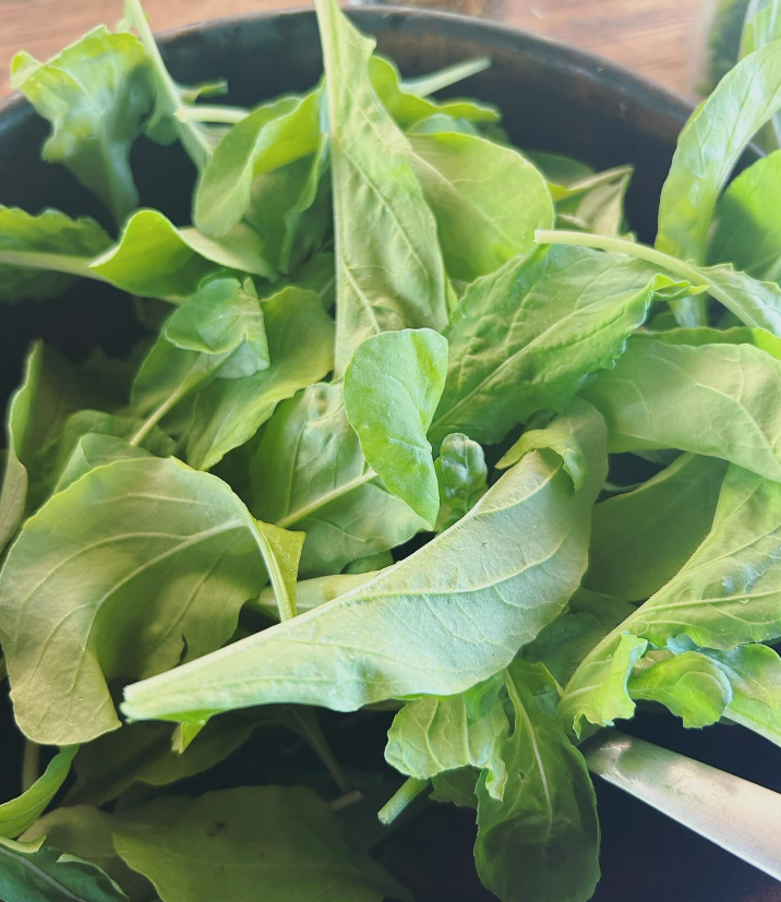 Fresh Salad: Arugula