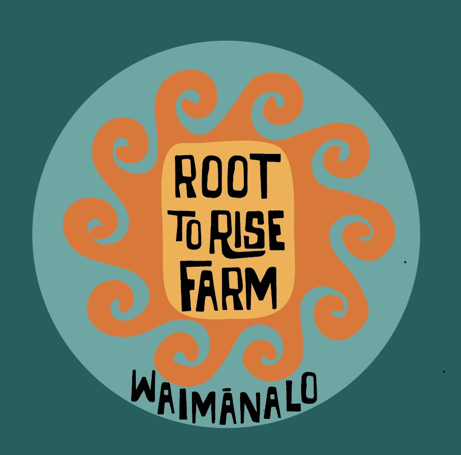 Fresh Salad: Arugula