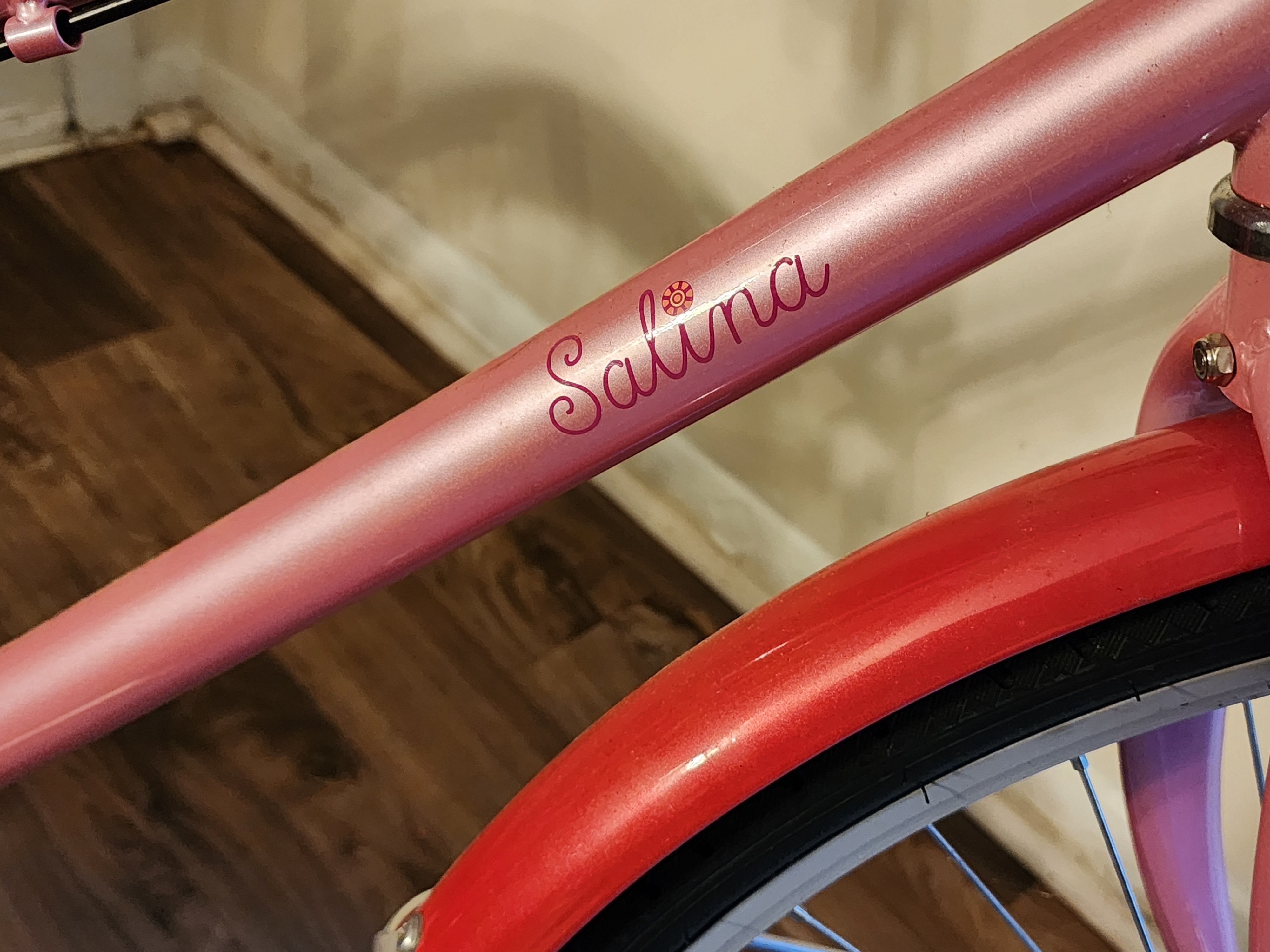 Schwinn Salina 24" Wheel Girl's Hybrid Bike - Pink