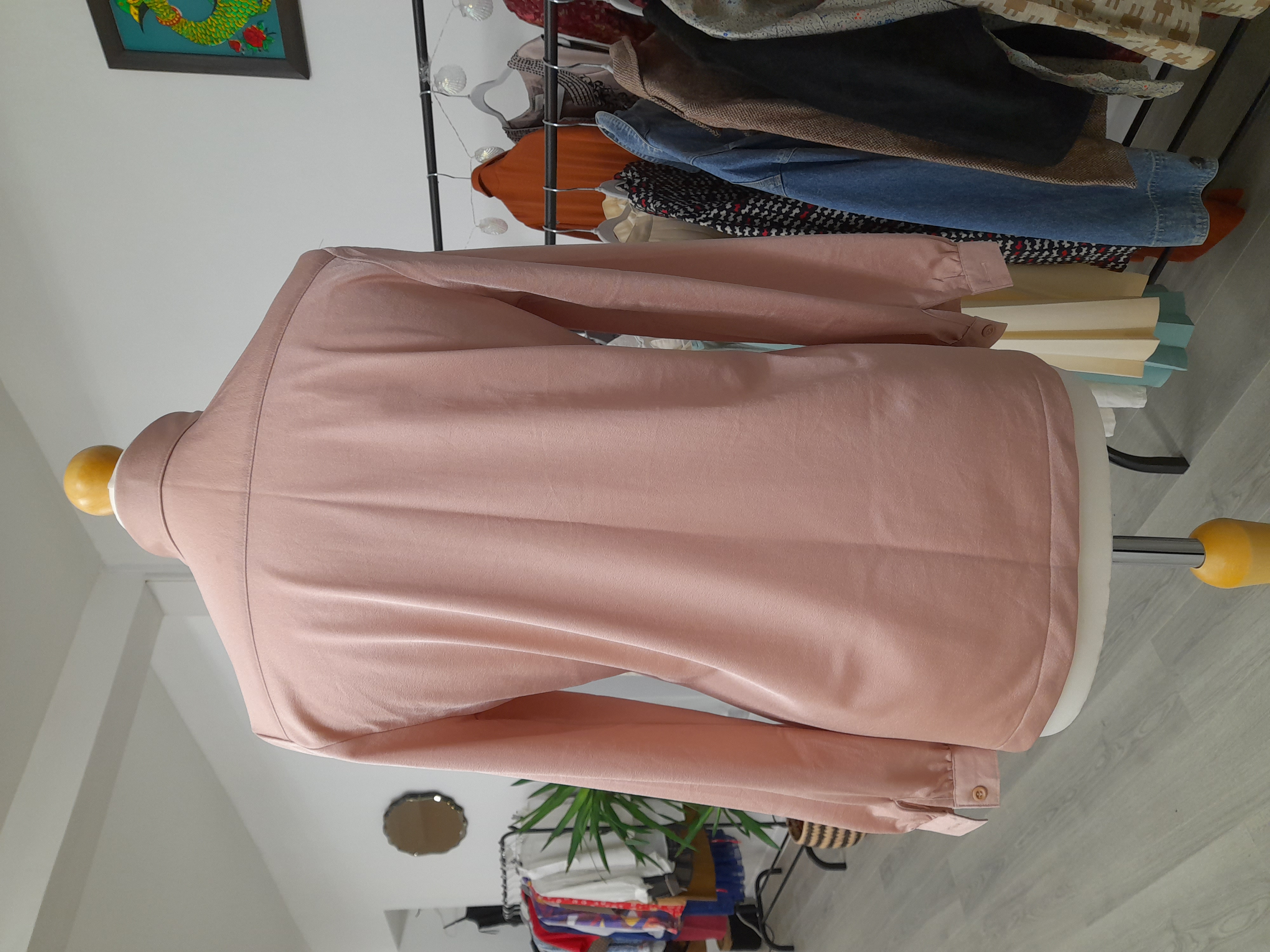 Retro Light Pink Blouse