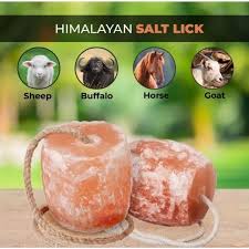 Himalayan Natural Animal Licking Salt Mineral Rock,100% Natural Rock Salt [2 to 3 kg] one Piece
