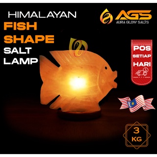 3KG FULL SET ORIGNAL HIMALAYAN ROCK SALT LAMP (Unique Fancy shapes)