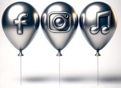 Paketa full Bazë FIT