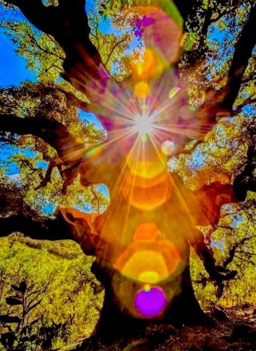 AURA: Women-Only Psilocybin Retreat Under the Full Moon in Spain