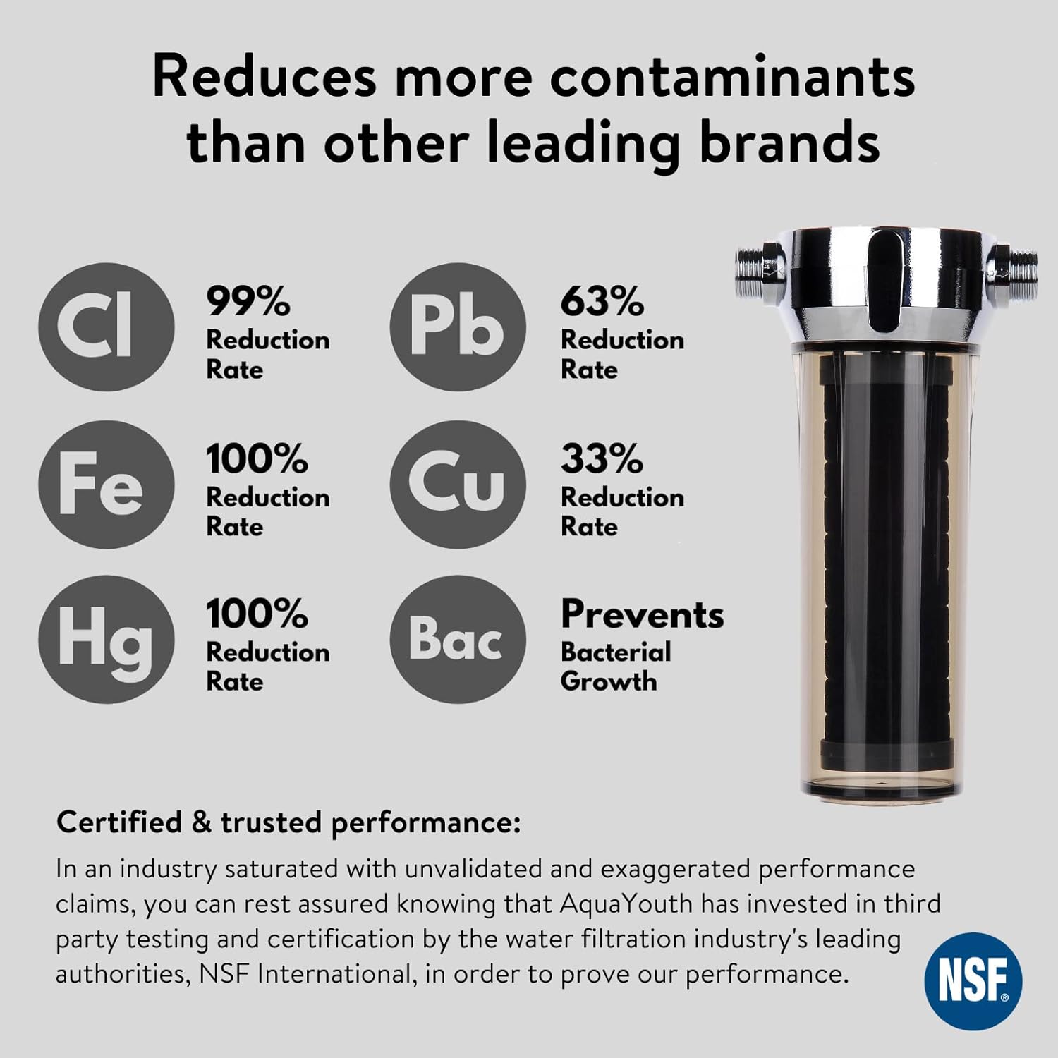 2.0 Carbon Shower Head Filter System