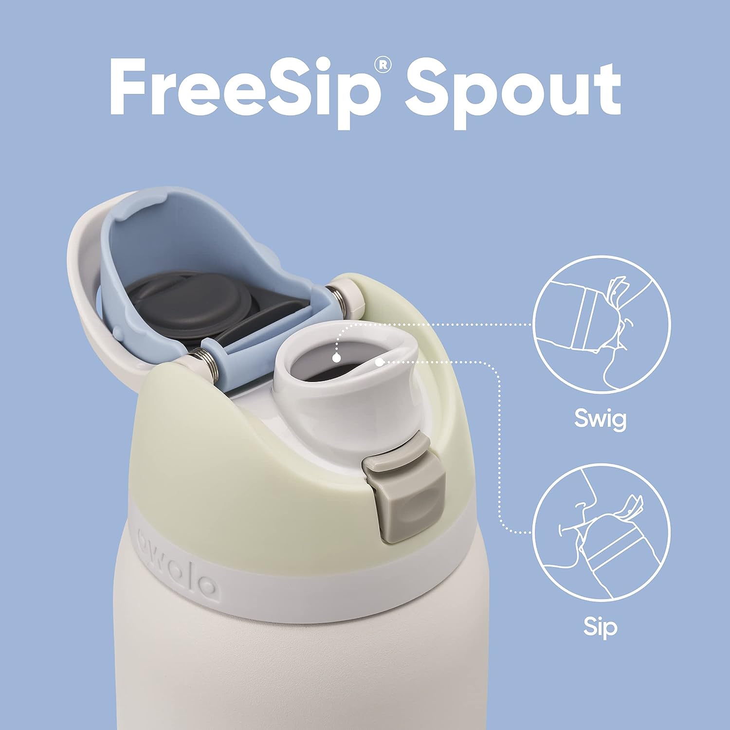 Insulated Stainless Steel Water Bottle