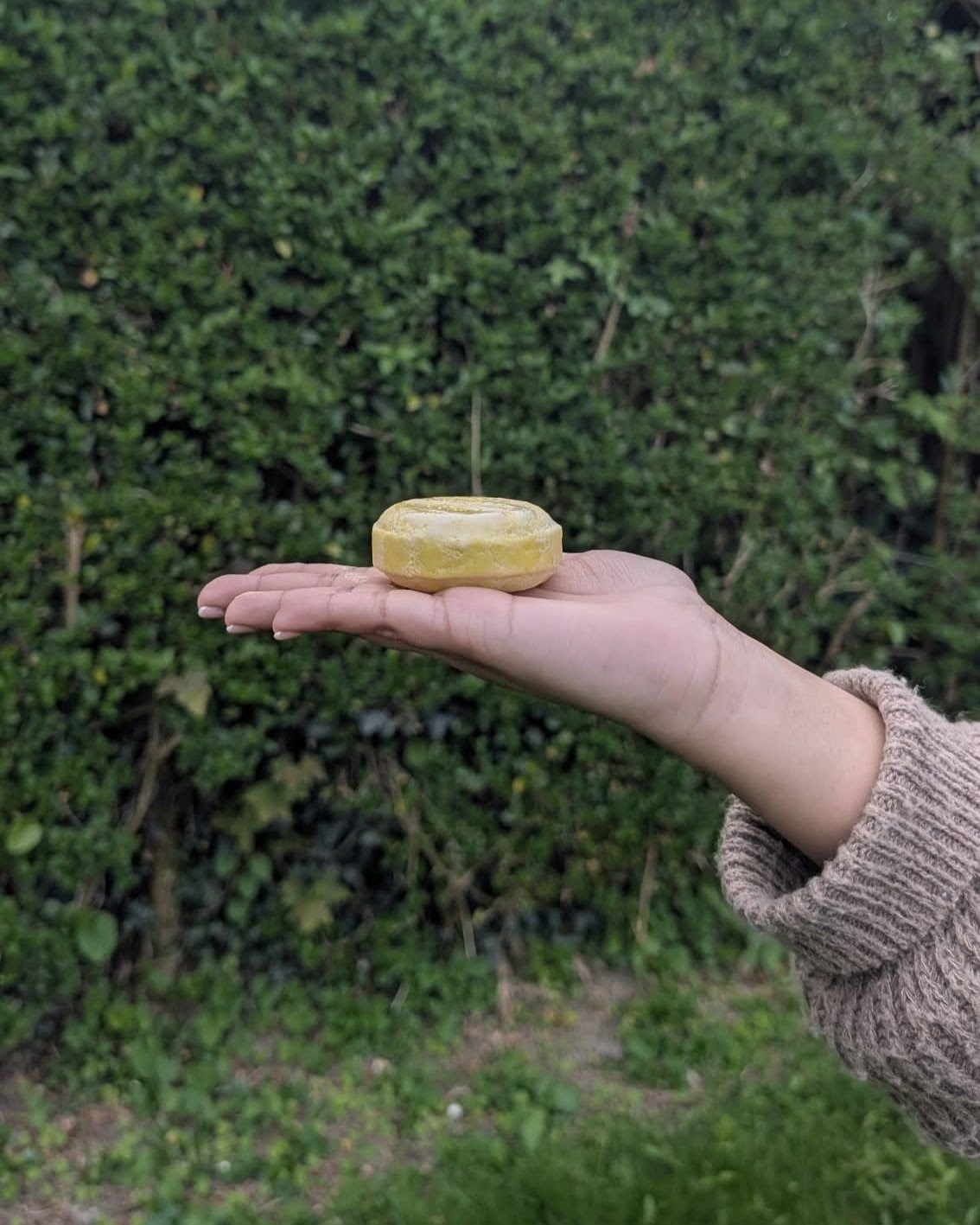 Lemon Schlemon Shampoo Bar