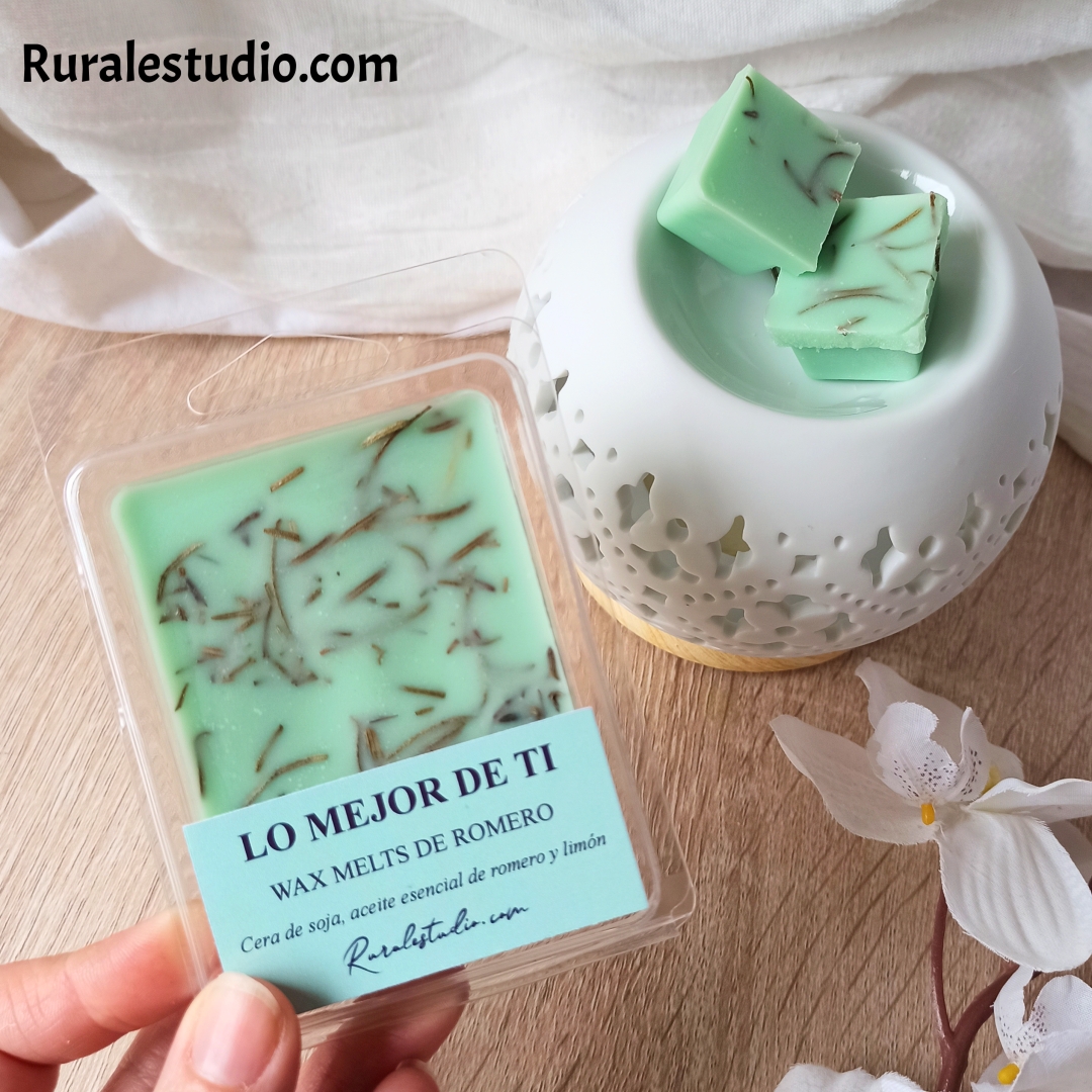 Wax Melts- Pack completo