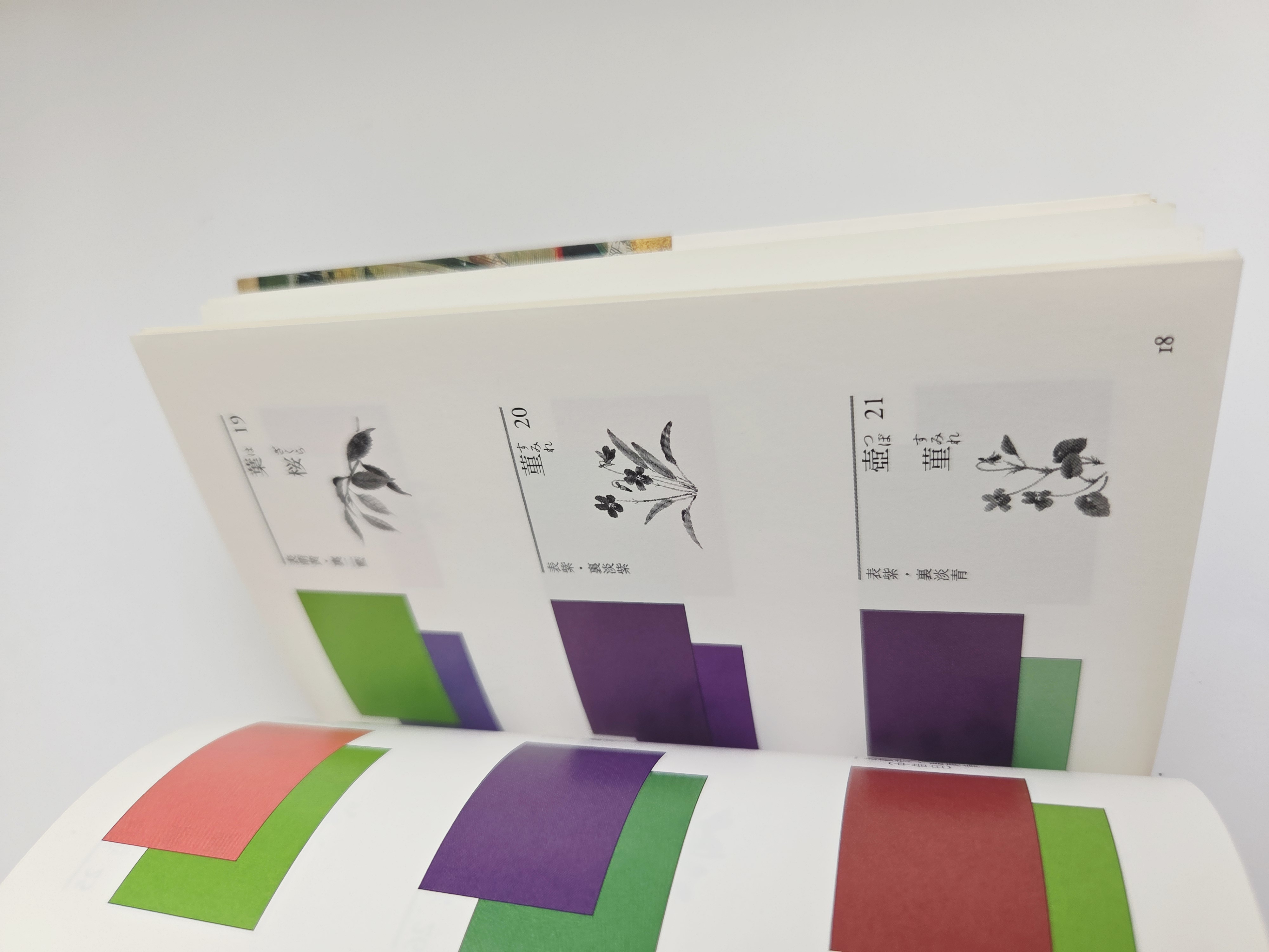 長崎盛輝 (Seiki Nagasaki) knyga 新版 かさねの色目 (Layered Colors)