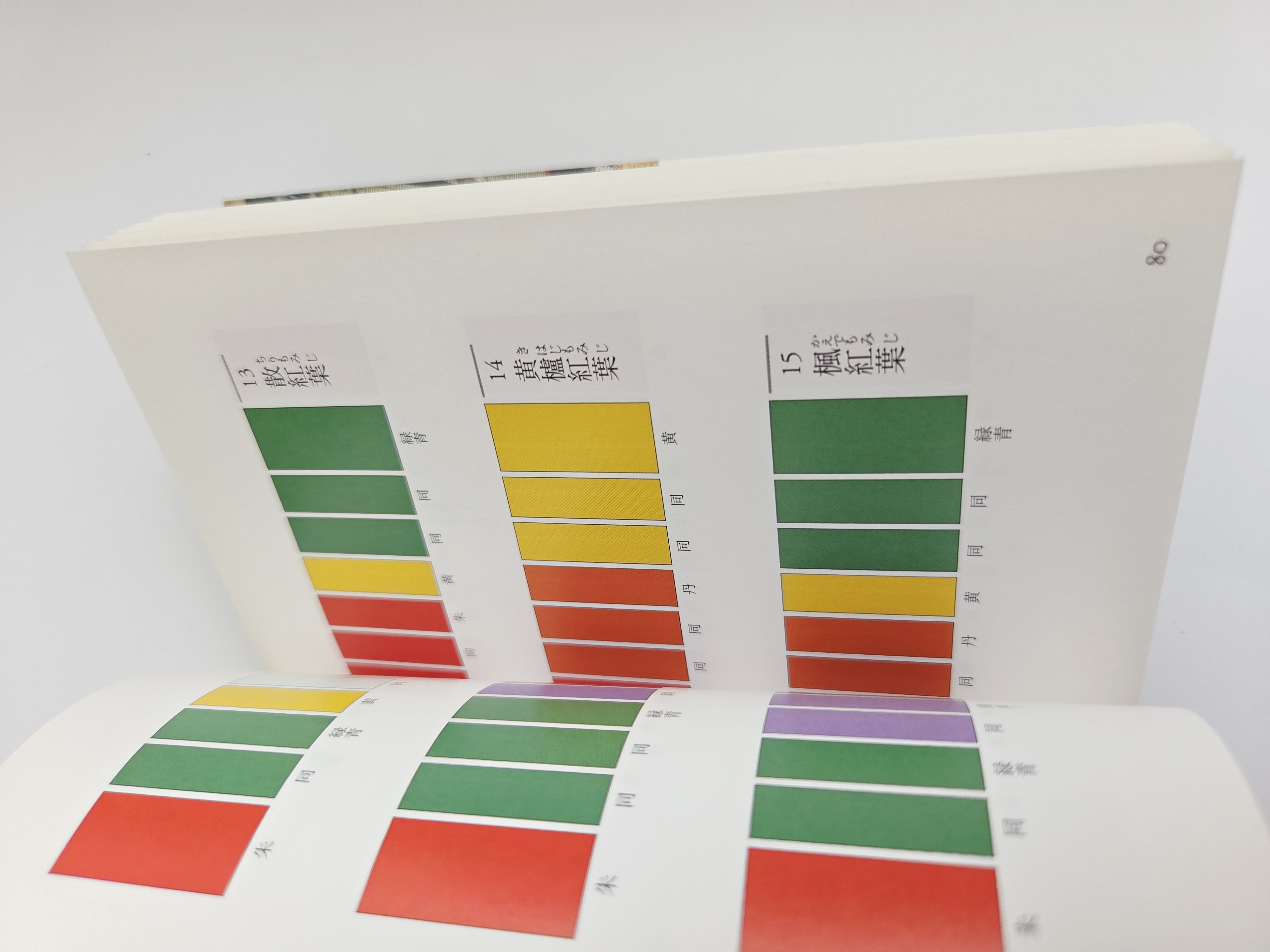 長崎盛輝 (Seiki Nagasaki) knyga 新版 かさねの色目 (Layered Colors)